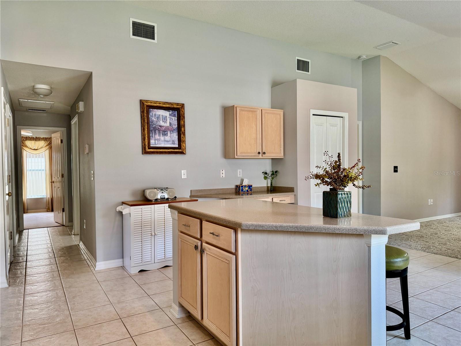 30923 BURLEIGH DR, WESLEY CHAPEL, FL, 33543