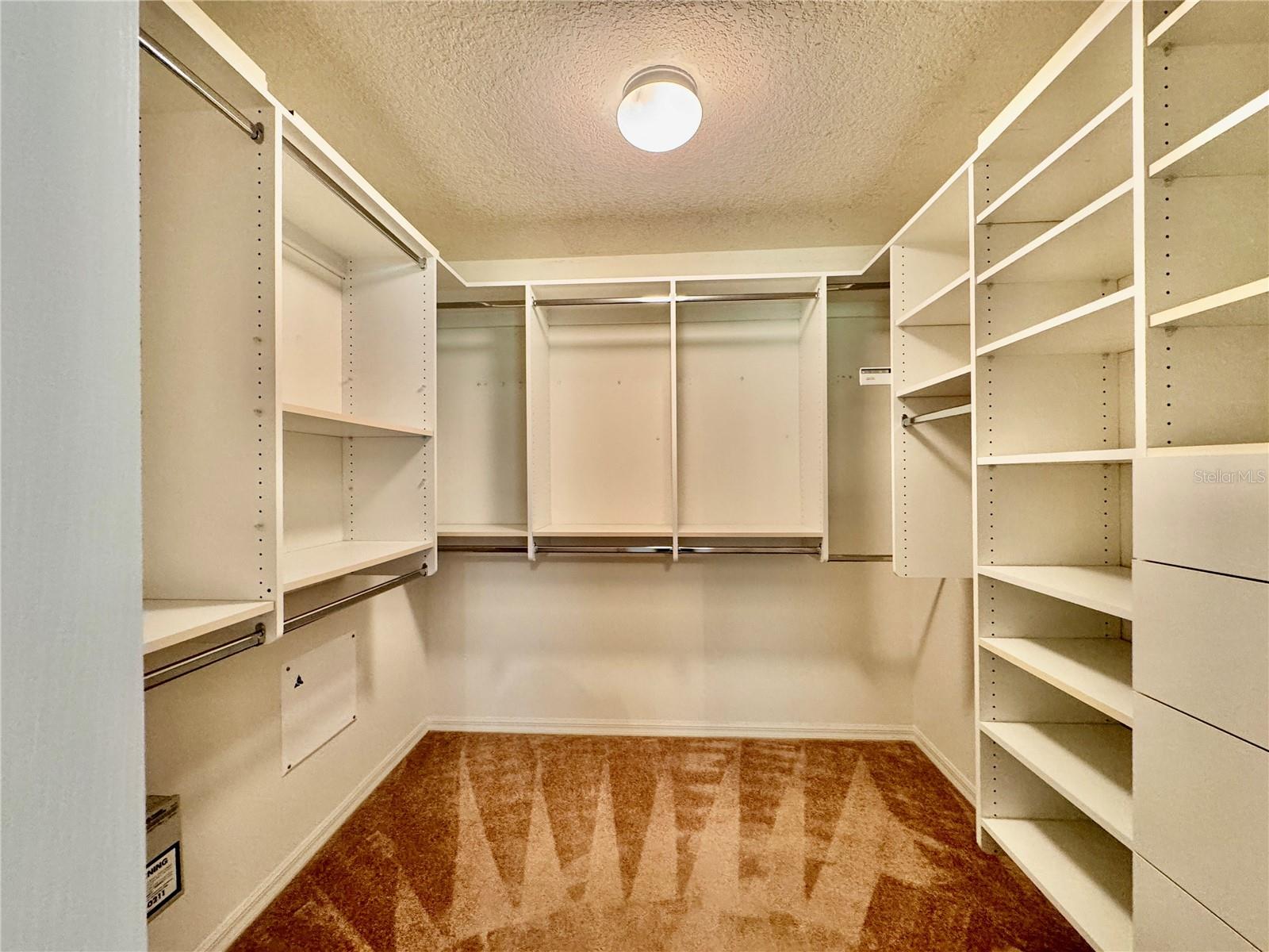 30923 BURLEIGH DR, WESLEY CHAPEL, FL, 33543