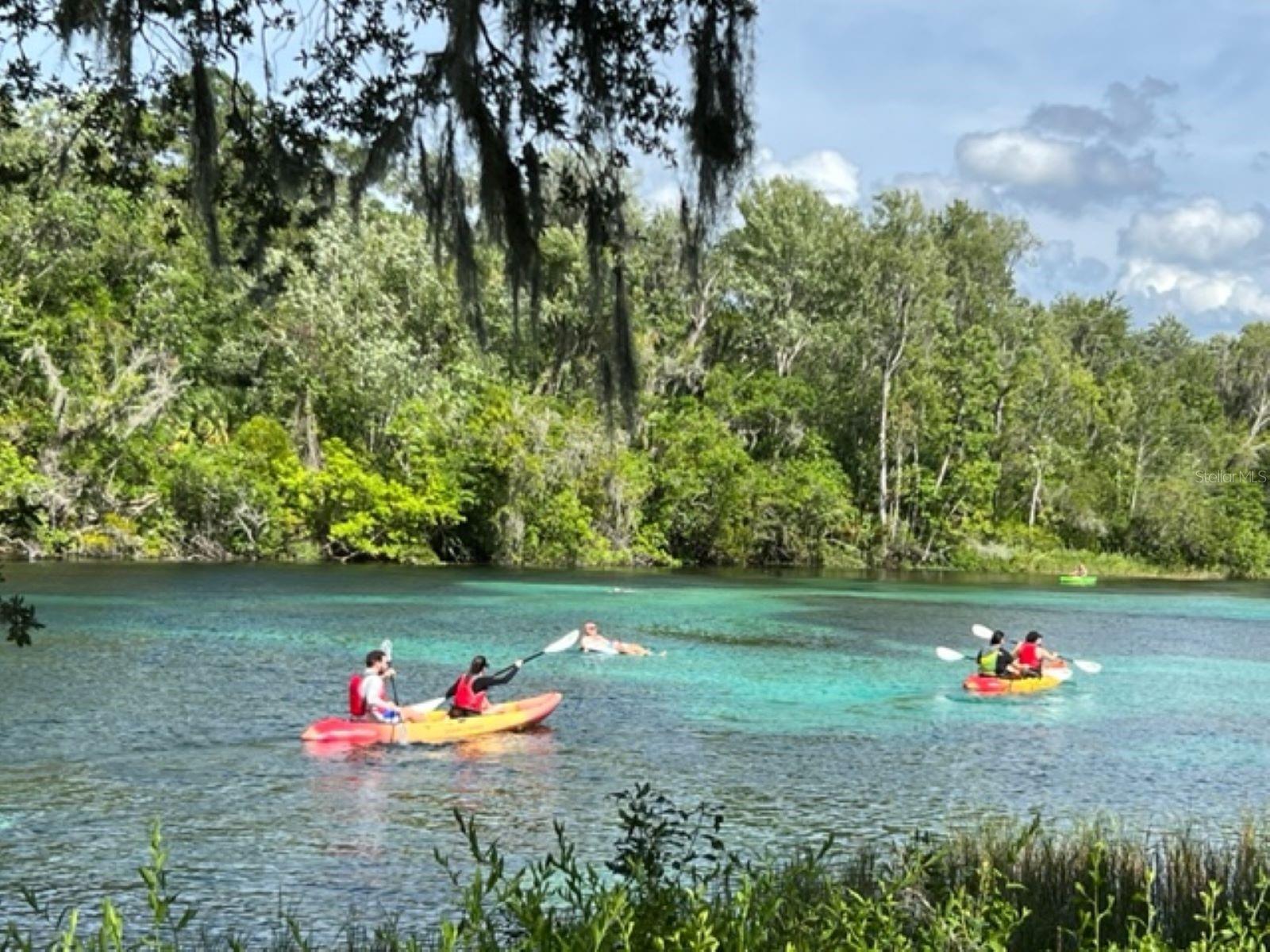 2218 NW 23RD LOOP, OCALA, FL, 34475