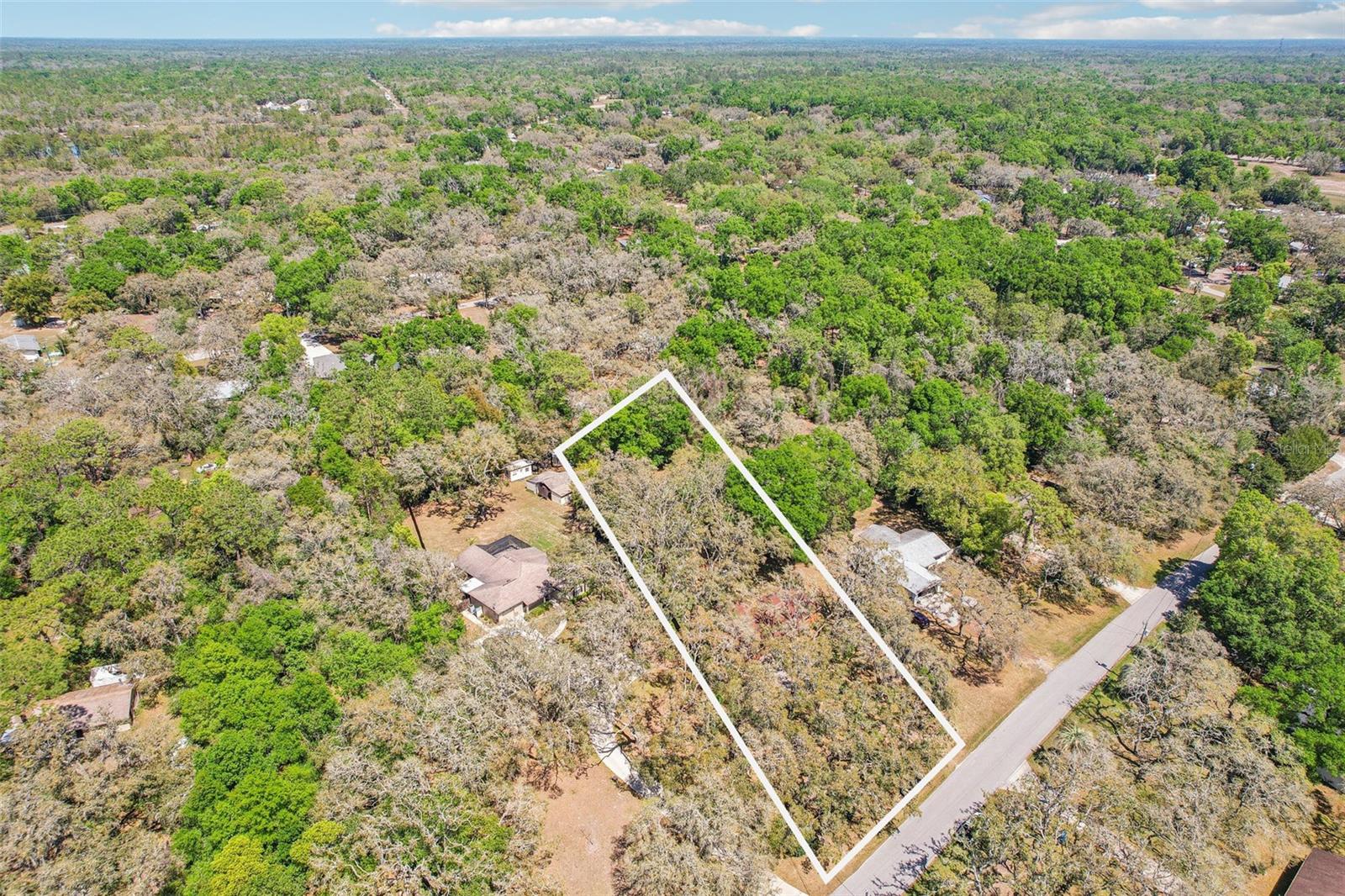 33357 WESTWOOD DR, RIDGE MANOR, FL, 33523