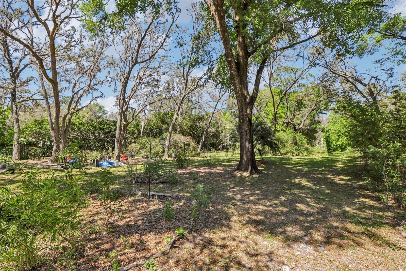 33357 WESTWOOD DR, RIDGE MANOR, FL, 33523