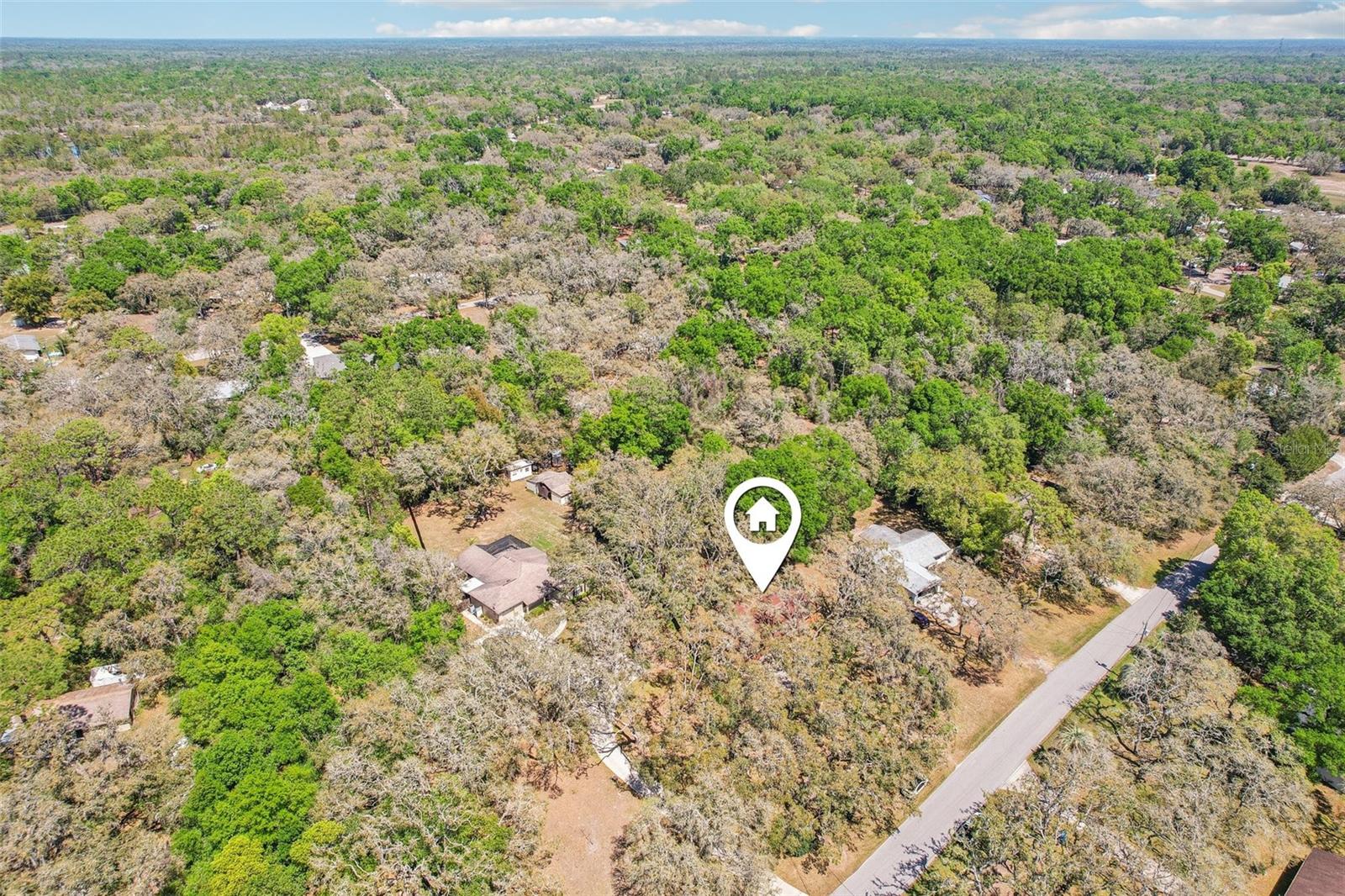 33357 WESTWOOD DR, RIDGE MANOR, FL, 33523
