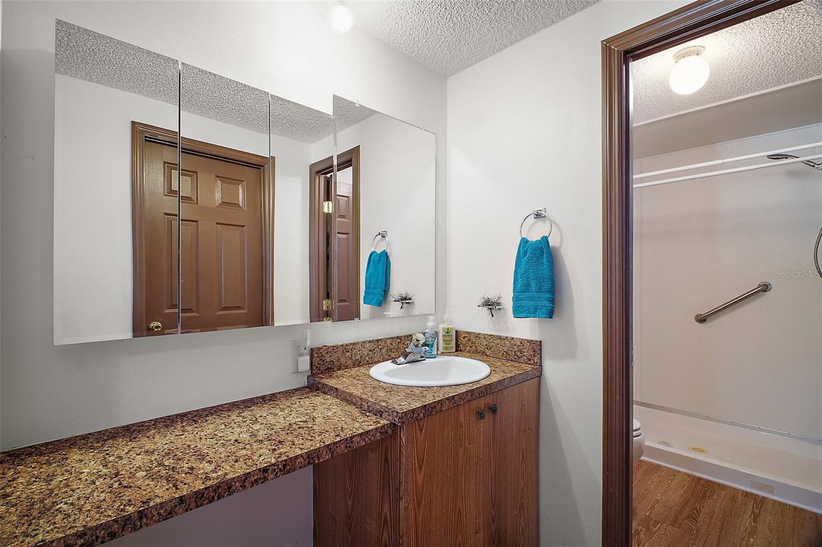 16025 SE 99TH TER, SUMMERFIELD, FL, 34491