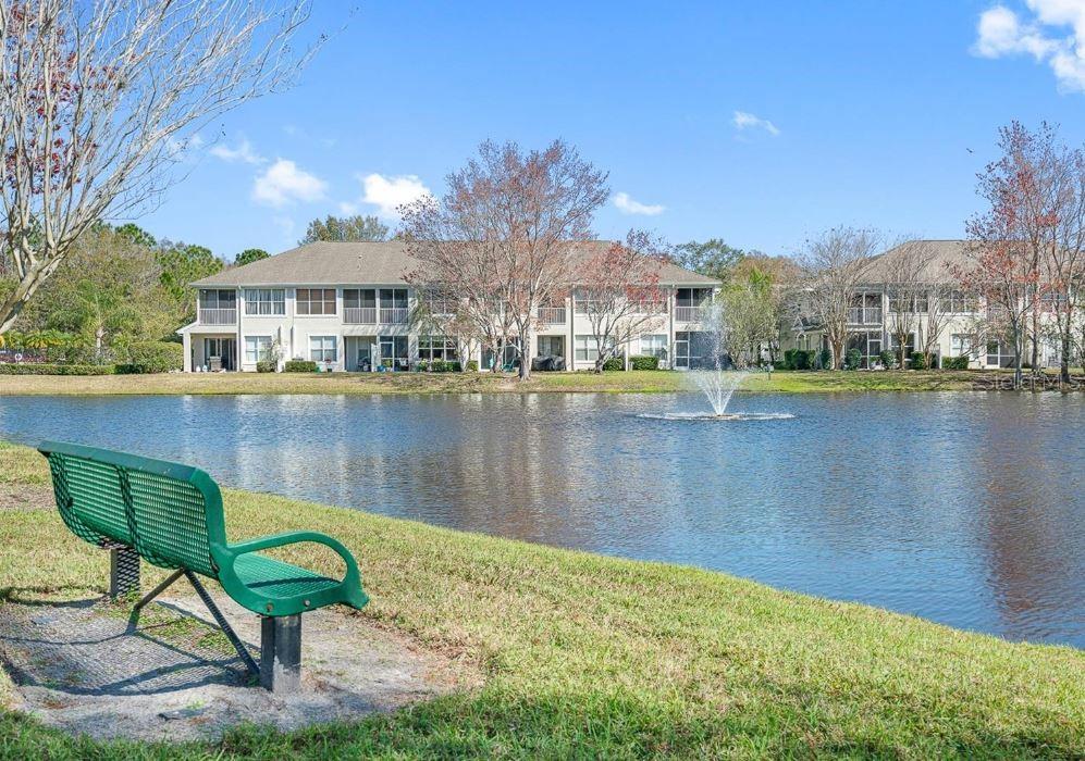 14223 WATERVILLE CIR #14223, TAMPA, FL, 33626