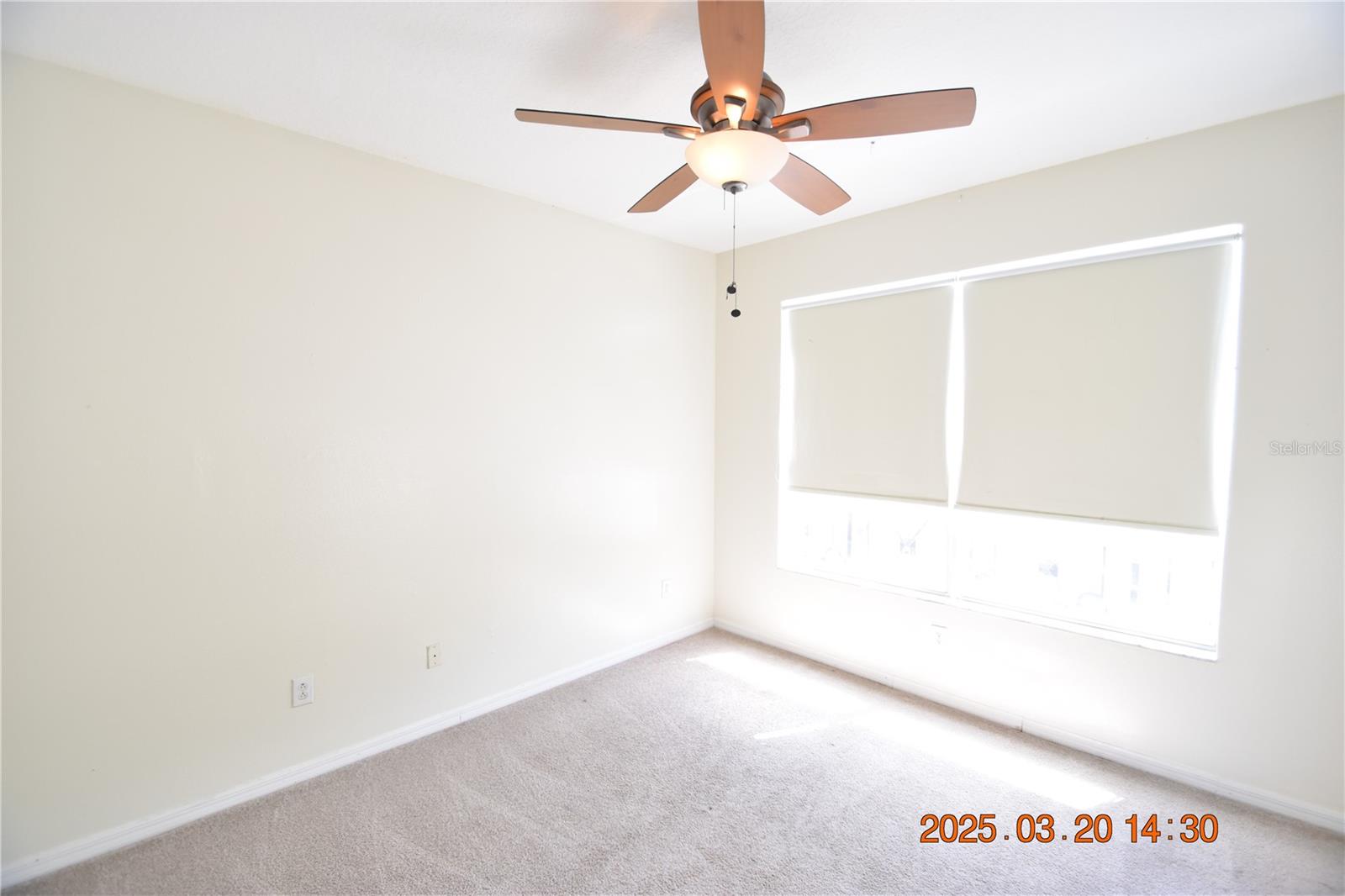 14223 WATERVILLE CIR #14223, TAMPA, FL, 33626