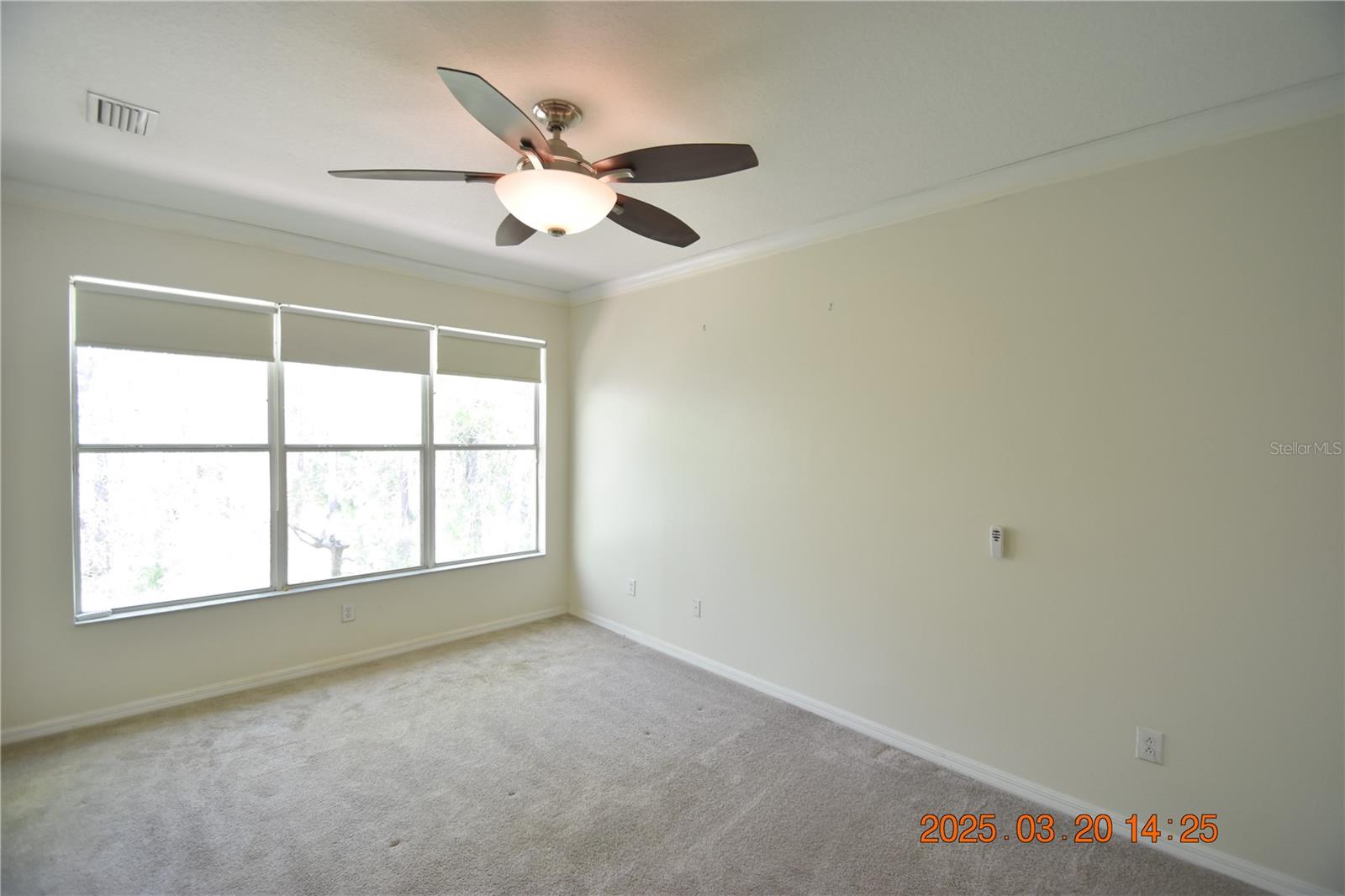 14223 WATERVILLE CIR #14223, TAMPA, FL, 33626