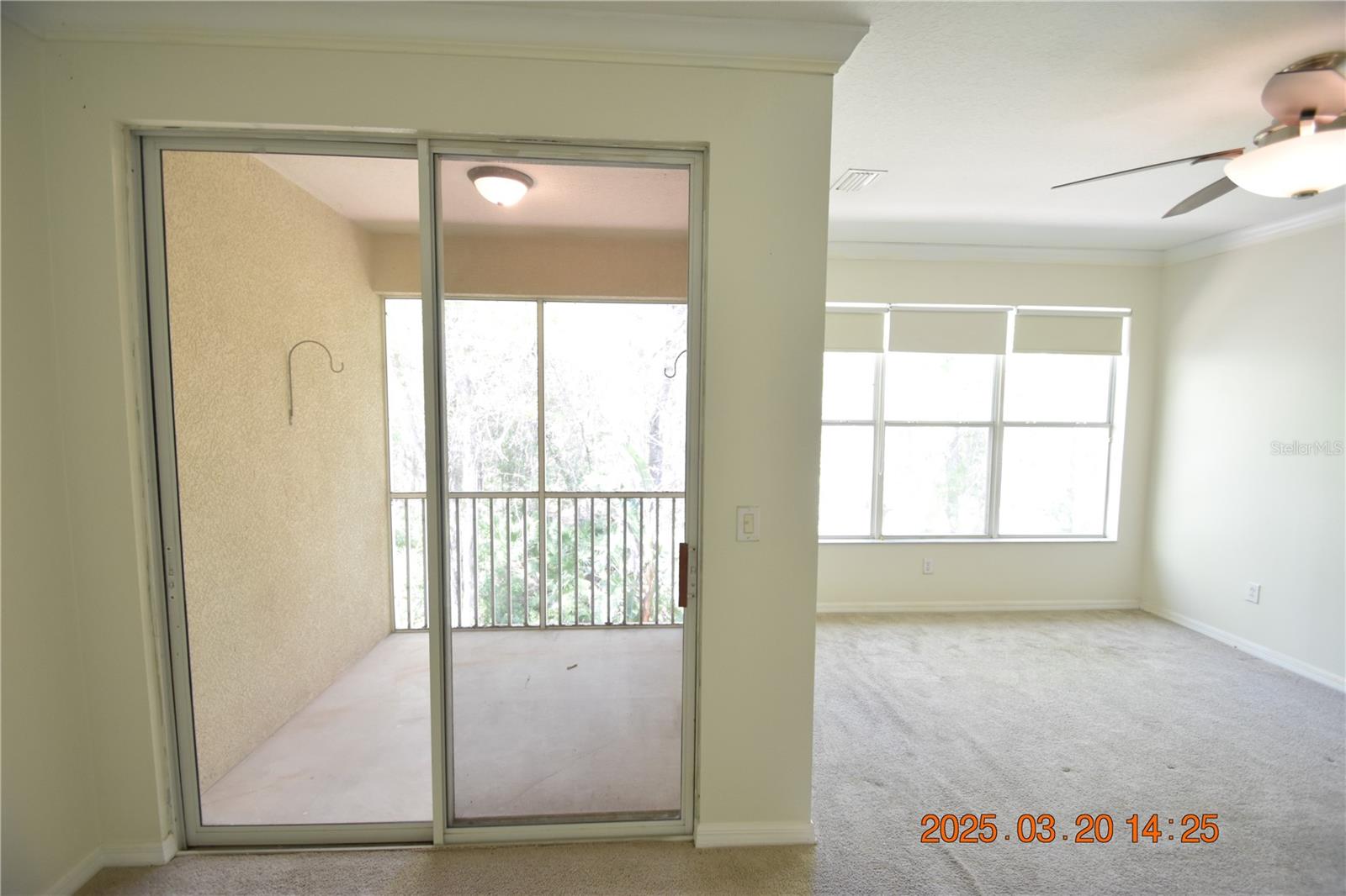 14223 WATERVILLE CIR #14223, TAMPA, FL, 33626