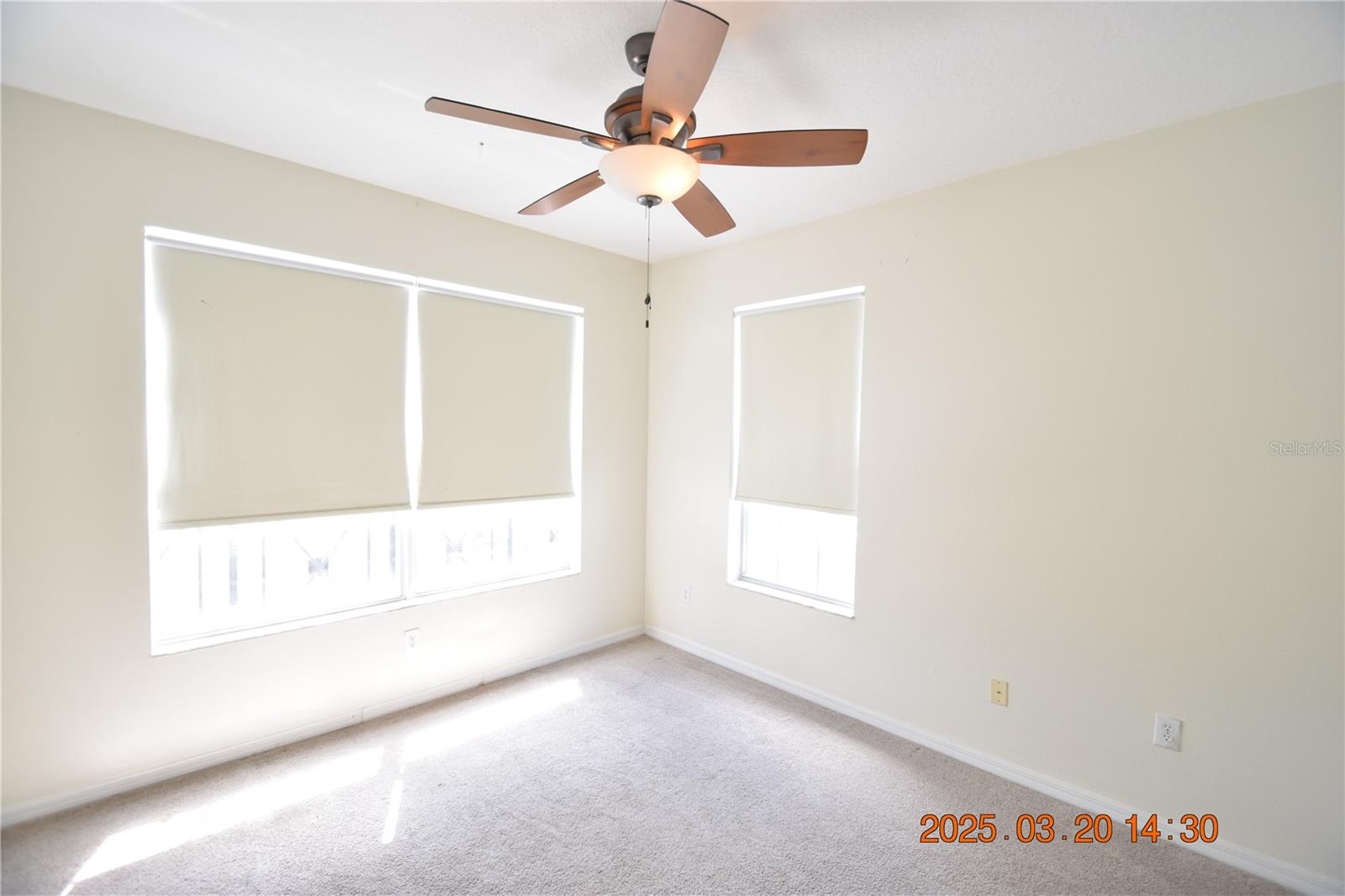 14223 WATERVILLE CIR #14223, TAMPA, FL, 33626