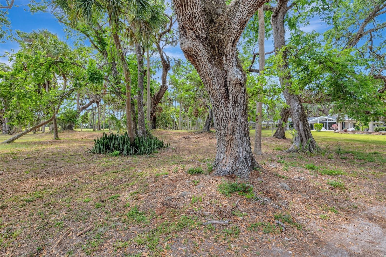 1240 FOX CREEK DR, SARASOTA, FL, 34240