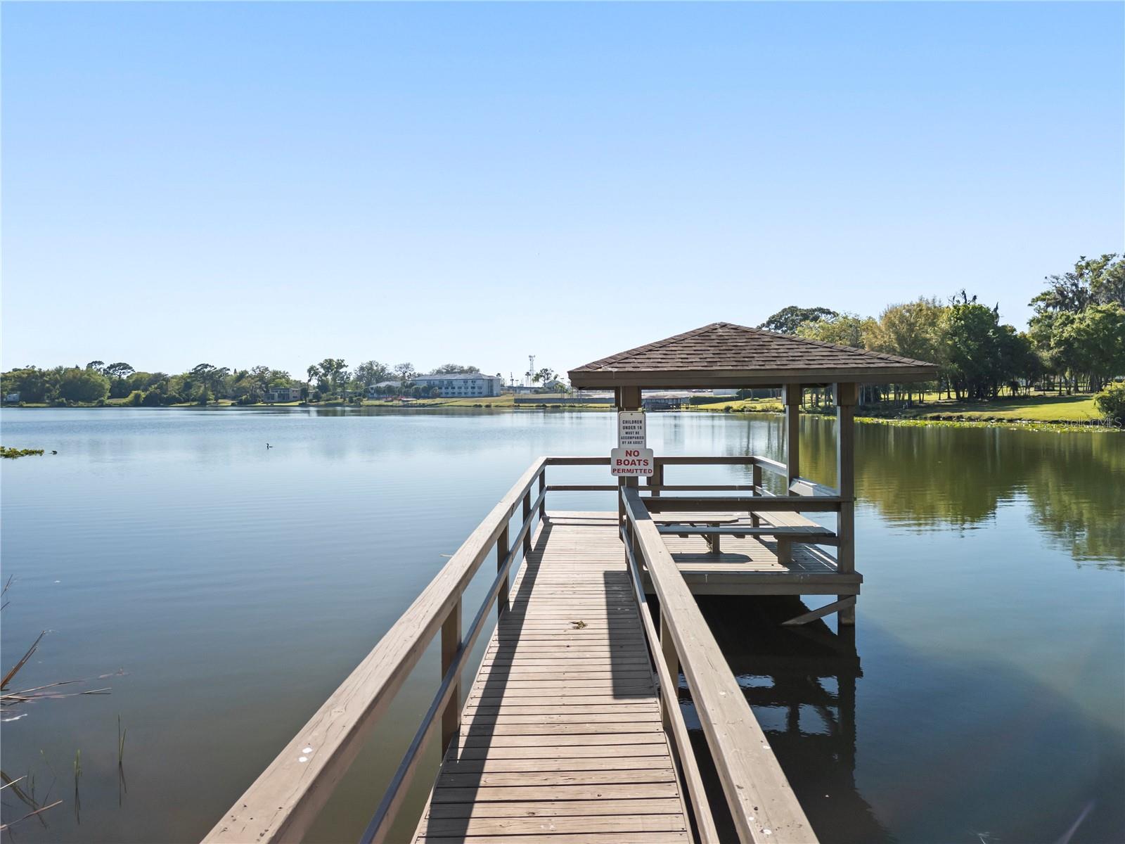85 CAROLWOOD BLVD, FERN PARK, FL, 32730