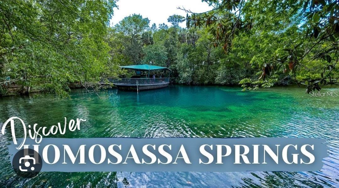 2211 S TRIVET PT, HOMOSASSA, FL, 34448