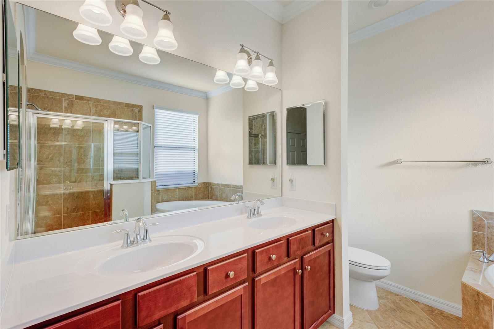 12091 AMICA LOOP, VENICE, FL, 34293