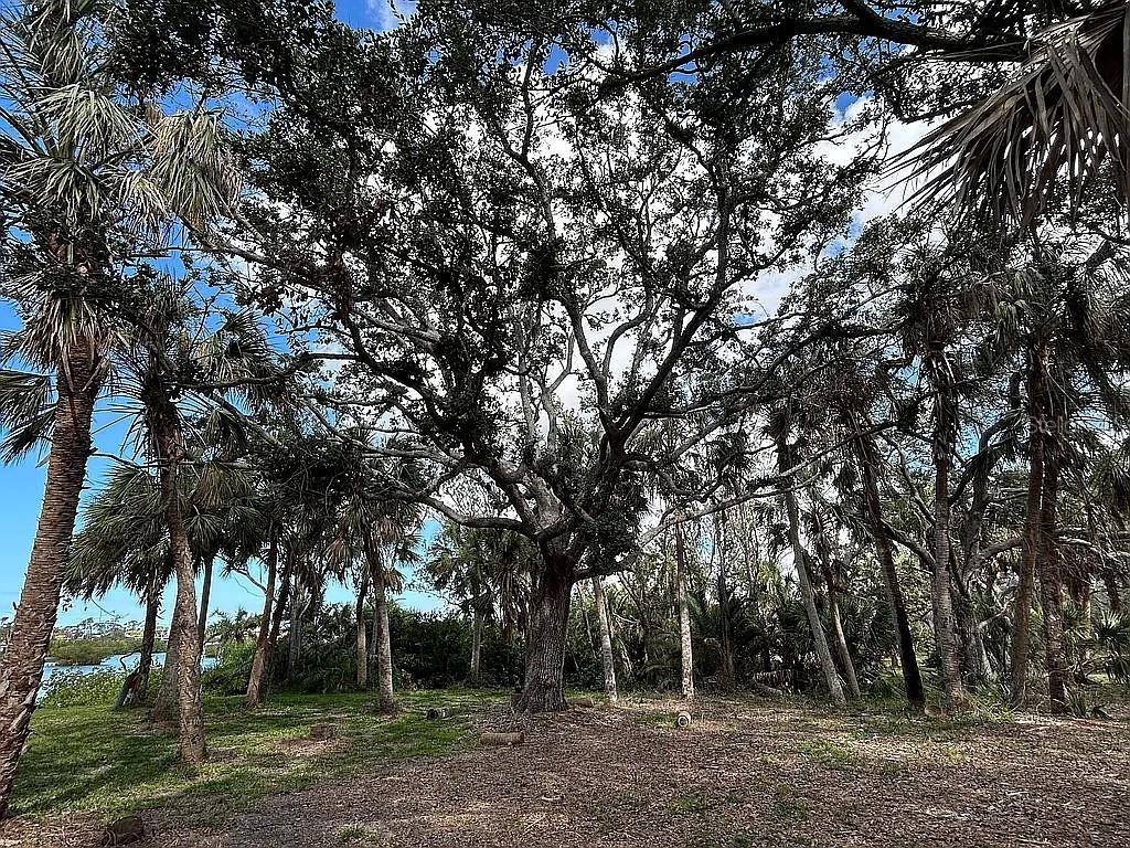 POCONO TRL E, NOKOMIS, FL, 34275