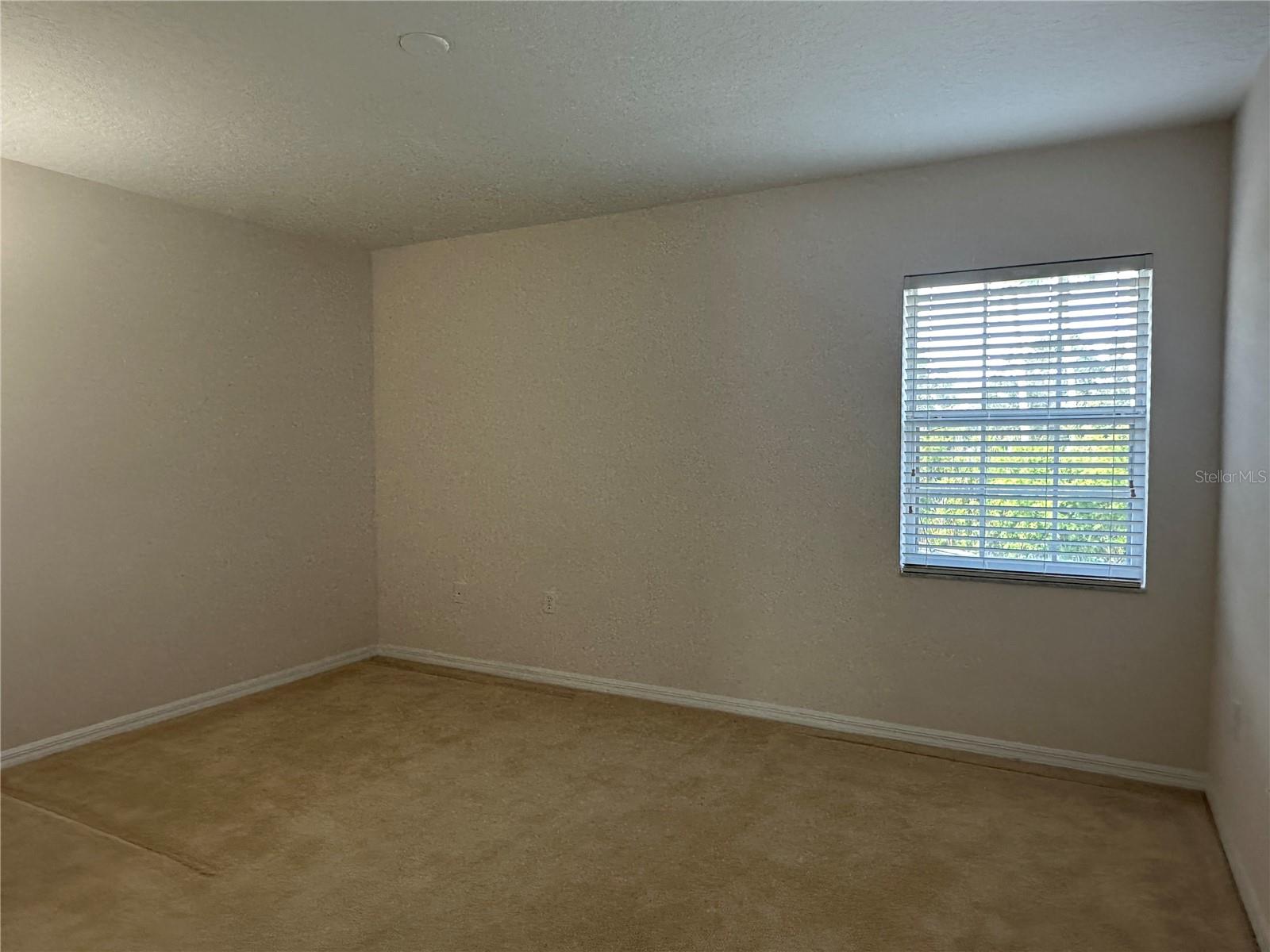 3648 PEPPERVINE DR, ORLANDO, FL, 32828