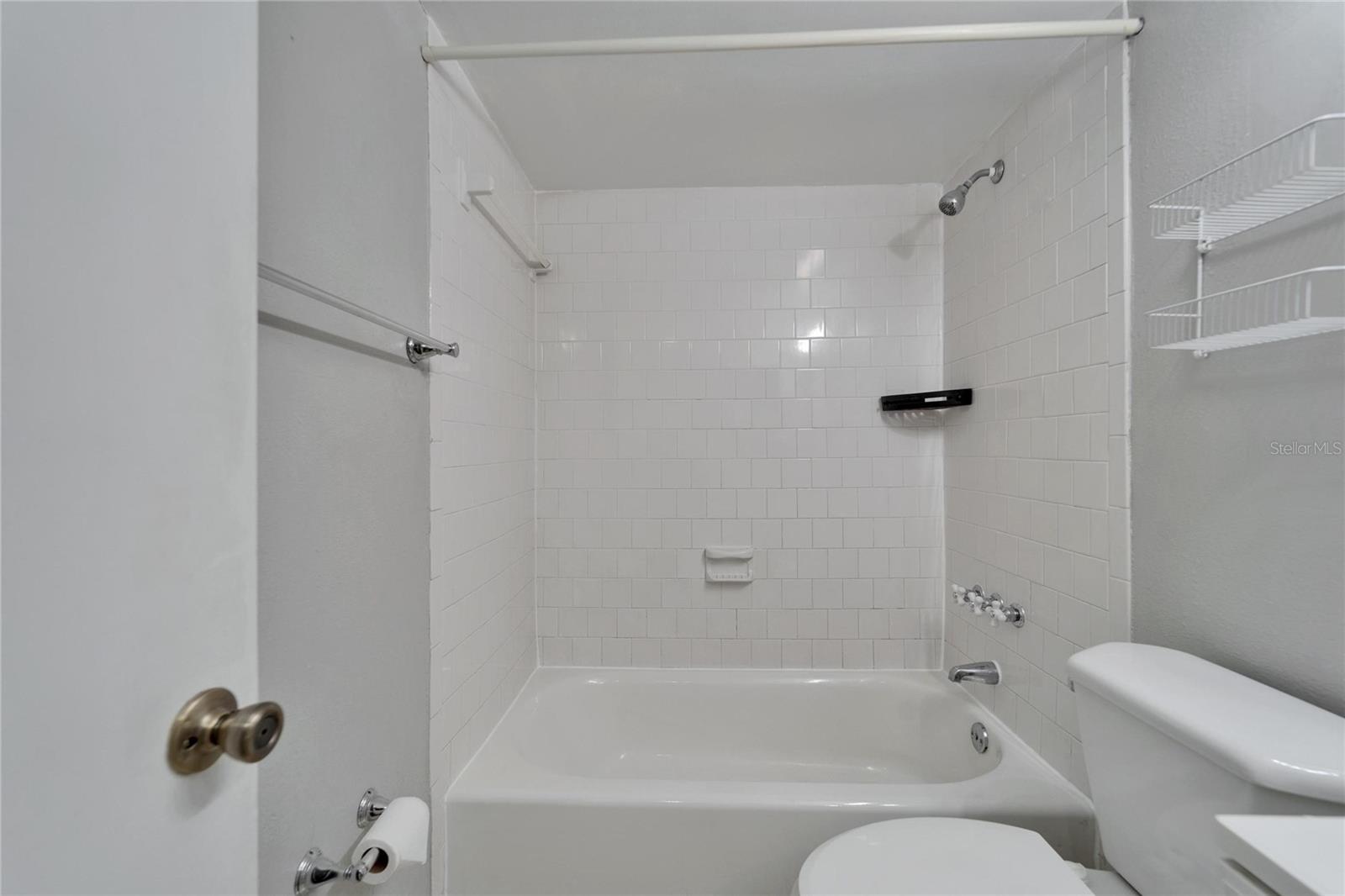 5820 N CHURCH AVE #241, TAMPA, FL, 33614