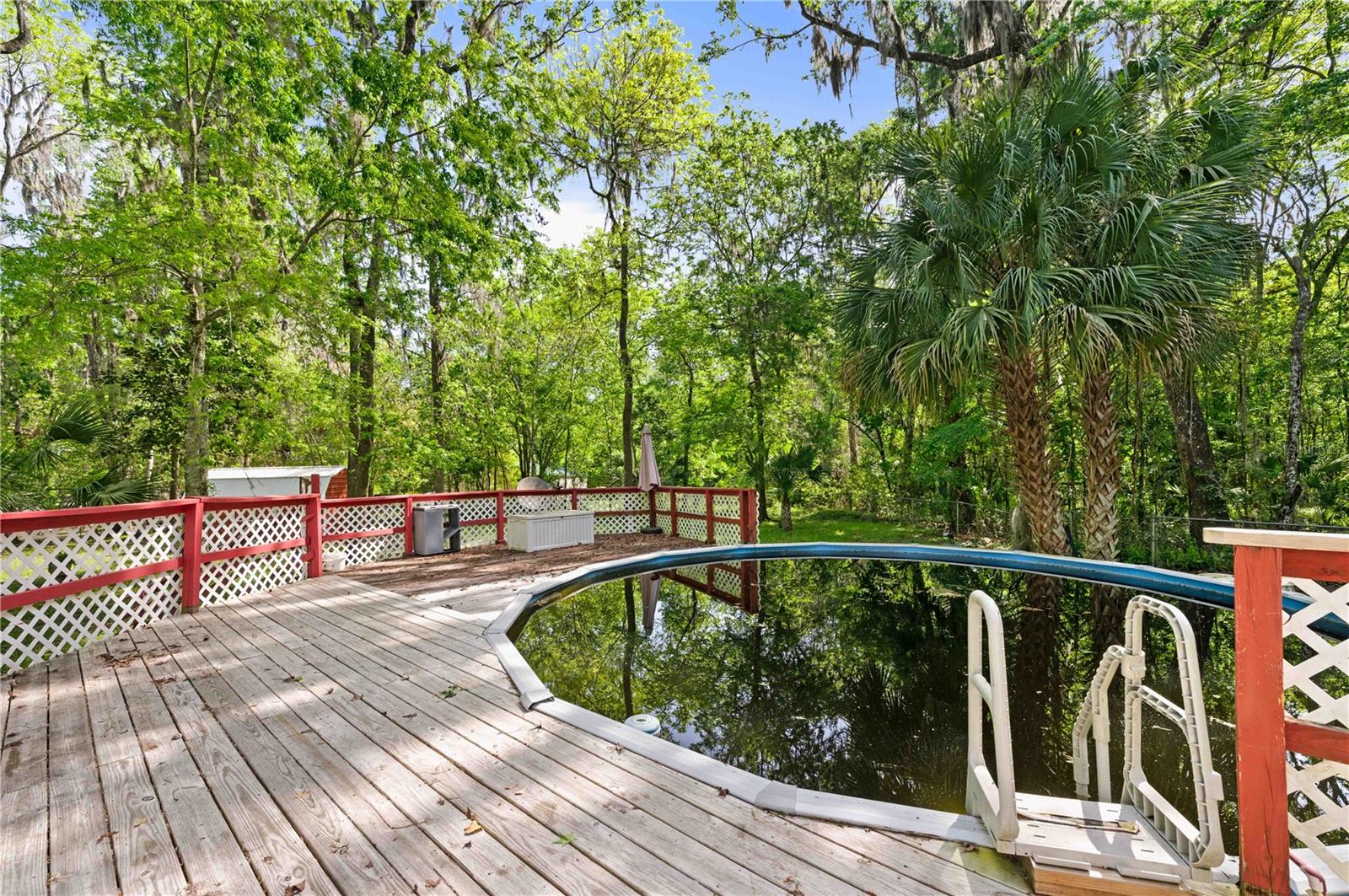 13220 SW 14TH STREET RD, OCALA, FL, 34481
