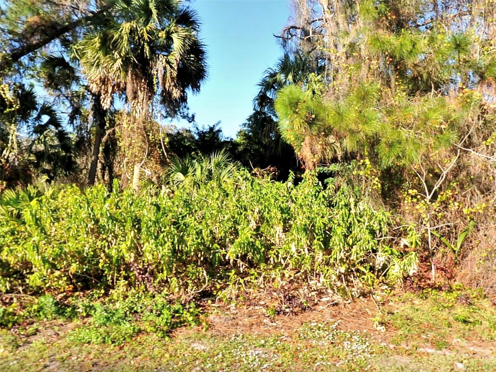 Lot 19 TUSKET AVE, NORTH PORT, FL, 34286