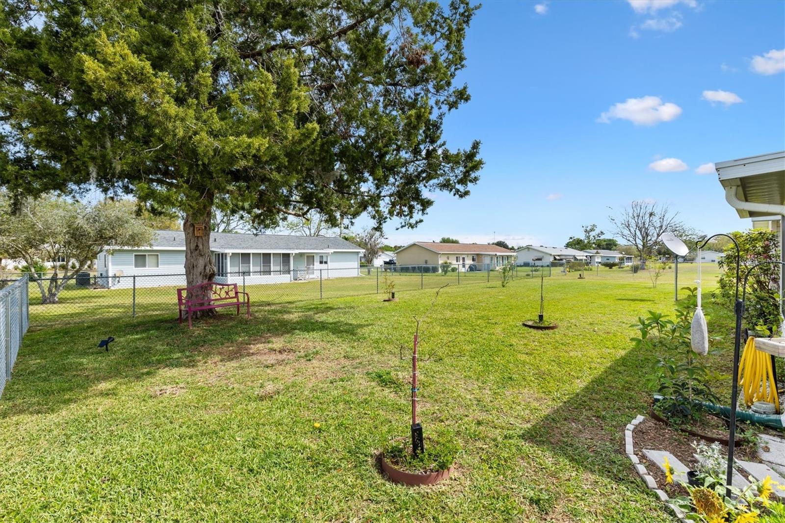 10385 SE 178TH ST, SUMMERFIELD, FL, 34491