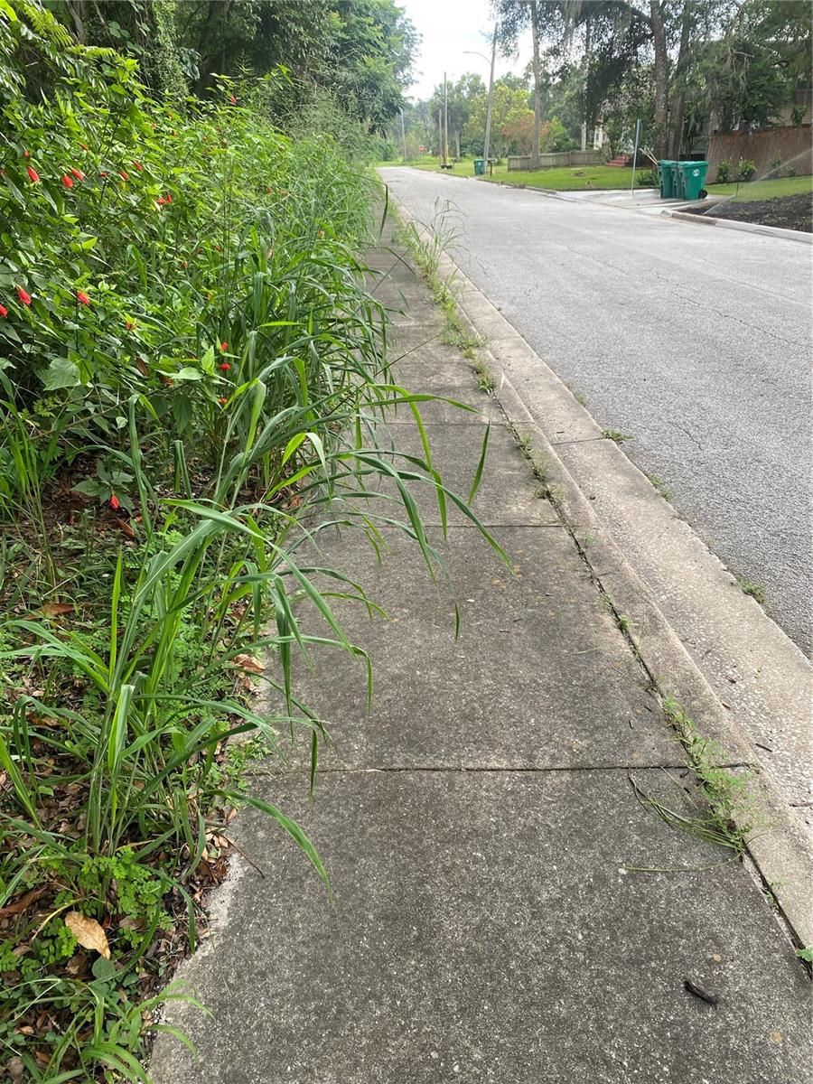E NEW YORK AVE, DELAND, FL, 32724