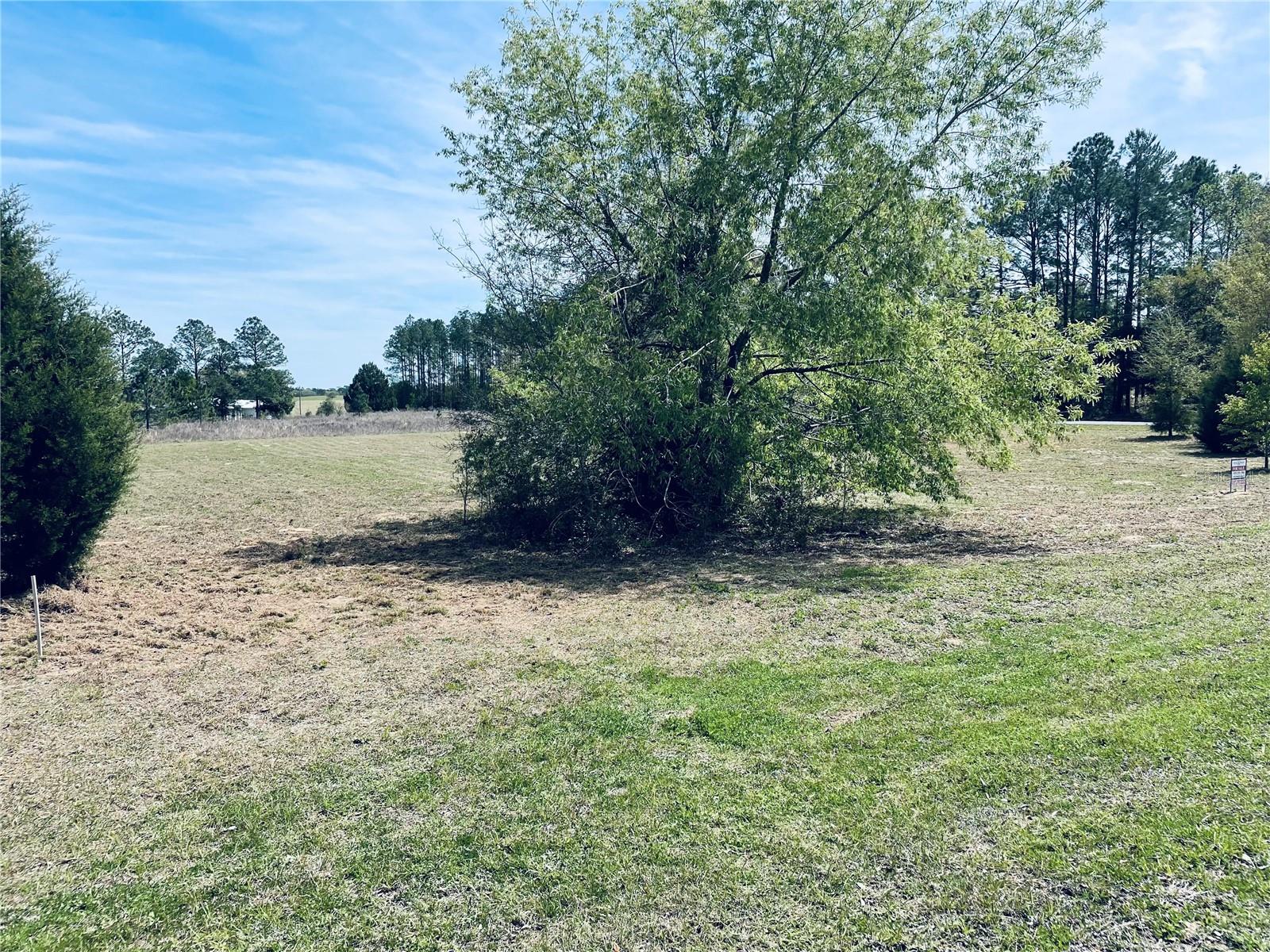 TBD SE 60TH LN, MORRISTON, FL, 32668