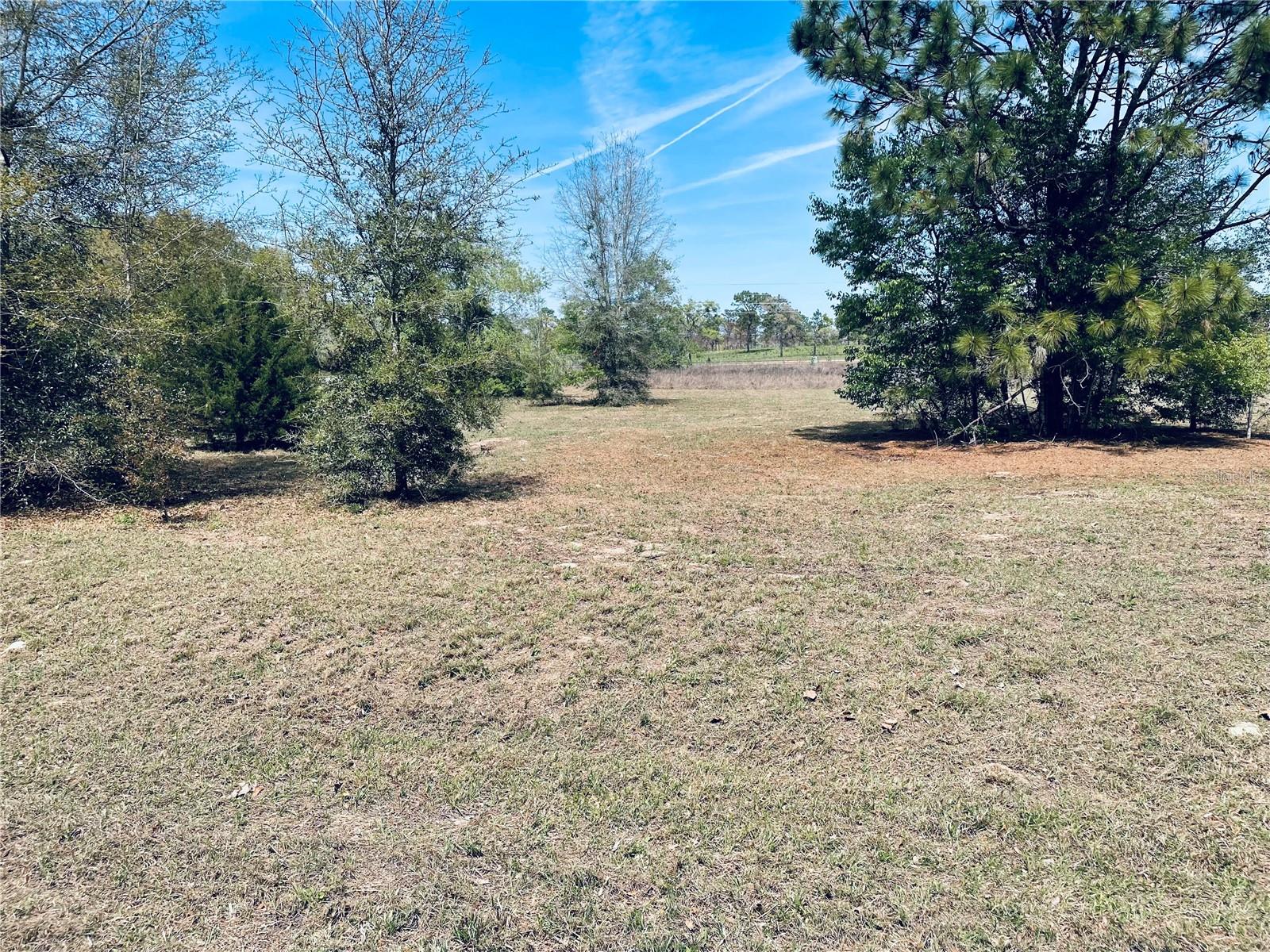 TBD SE 60TH LN, MORRISTON, FL, 32668