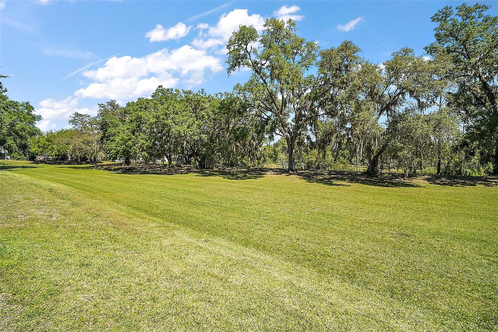 25736 WHISPER OAKS RD, LEESBURG, FL, 34748