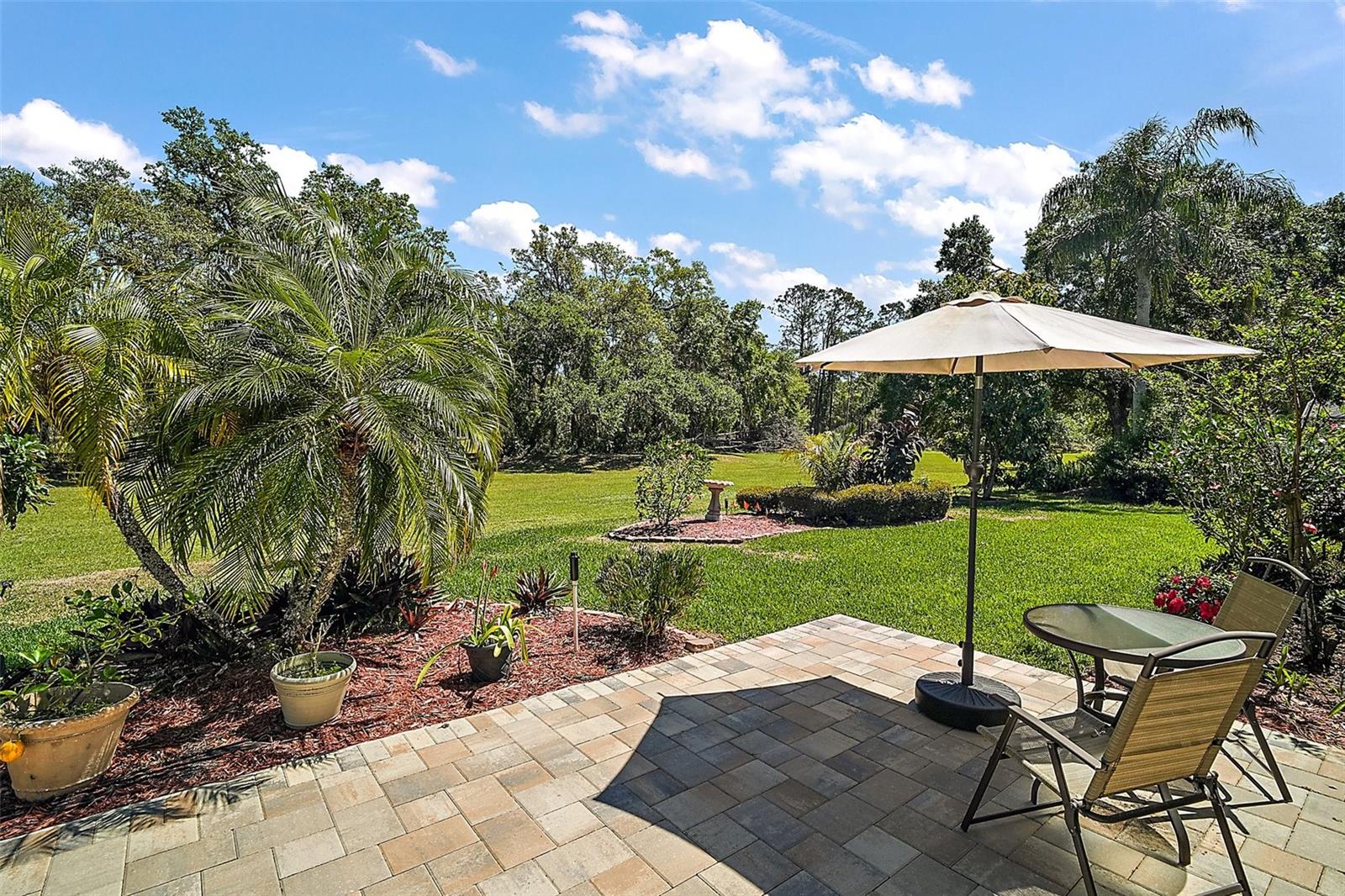 25736 WHISPER OAKS RD, LEESBURG, FL, 34748