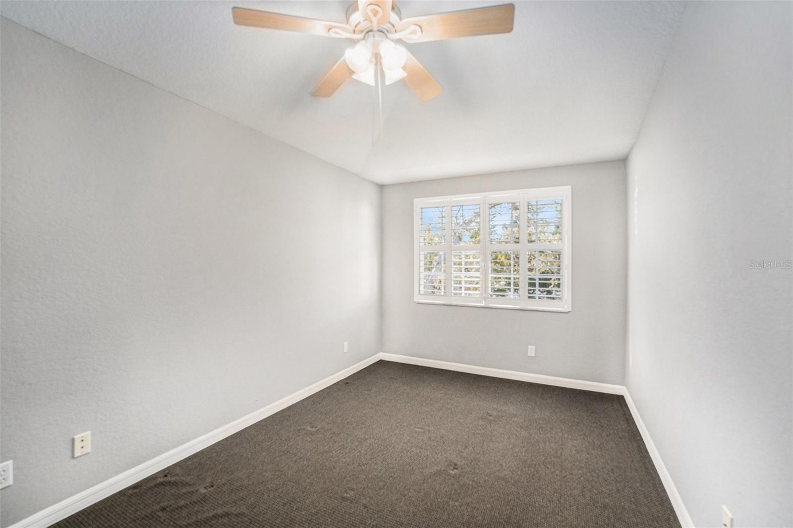 1359 CURLEW RD, DUNEDIN, FL, 34698