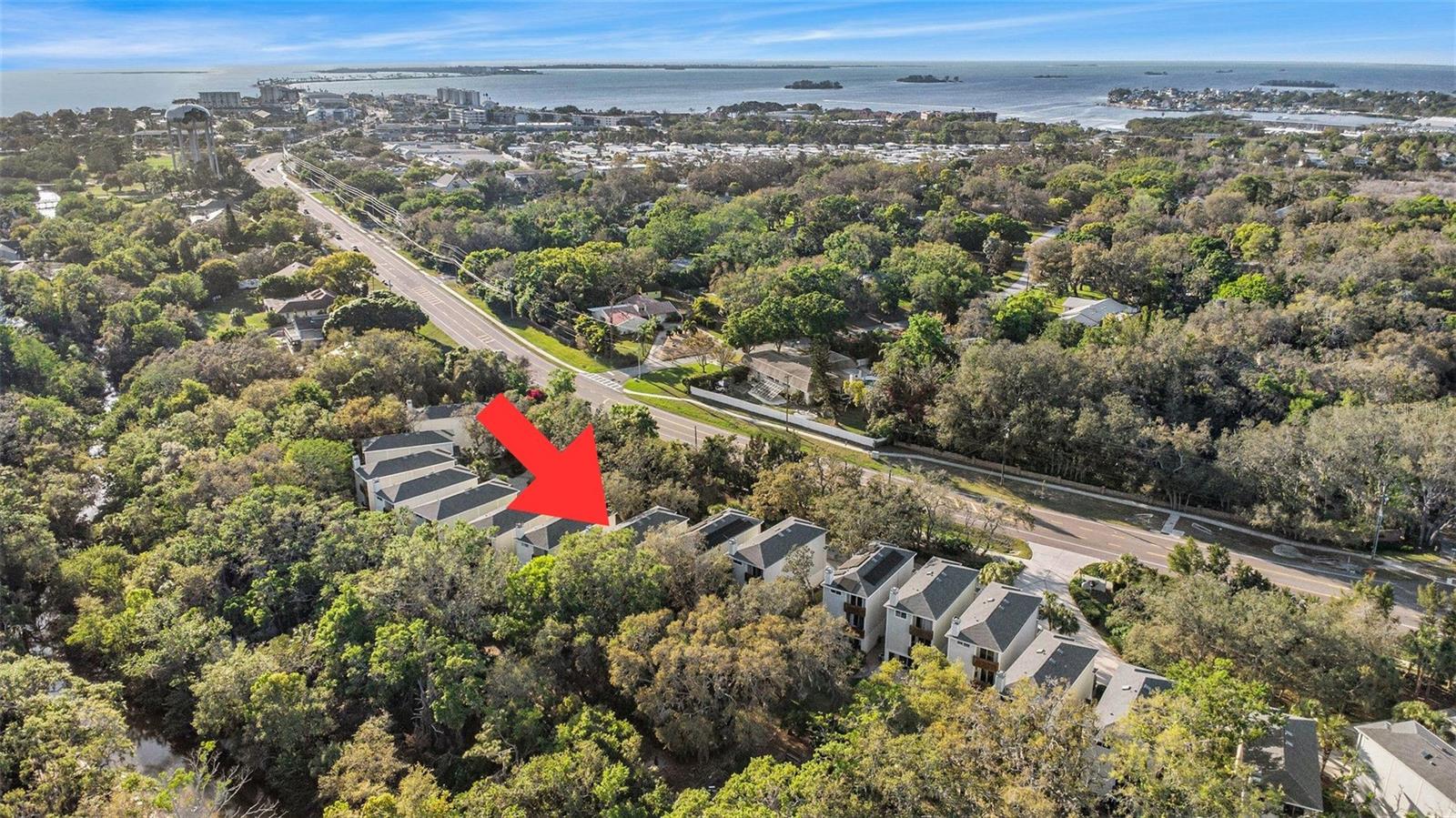 1359 CURLEW RD, DUNEDIN, FL, 34698