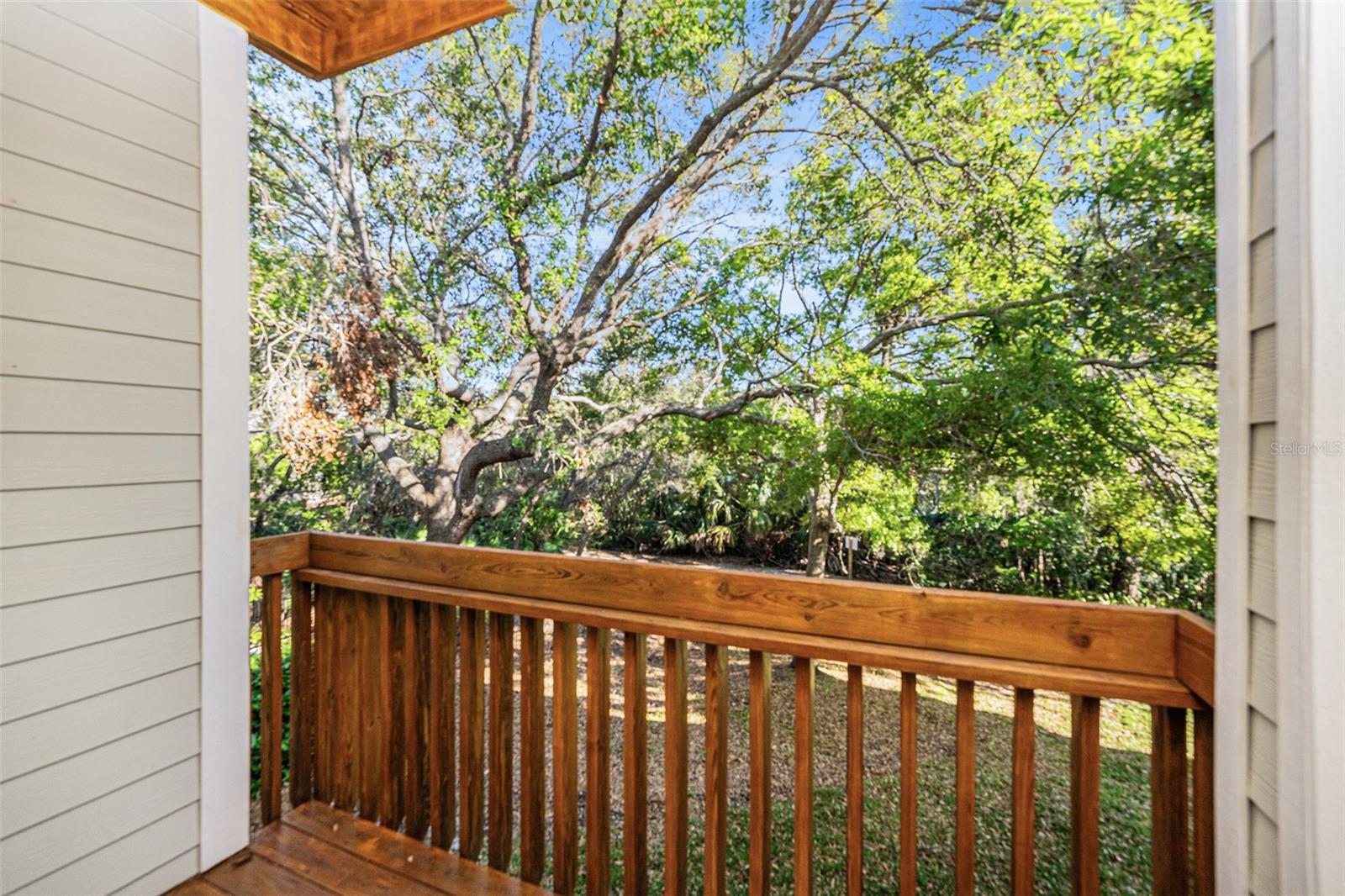 1359 CURLEW RD, DUNEDIN, FL, 34698