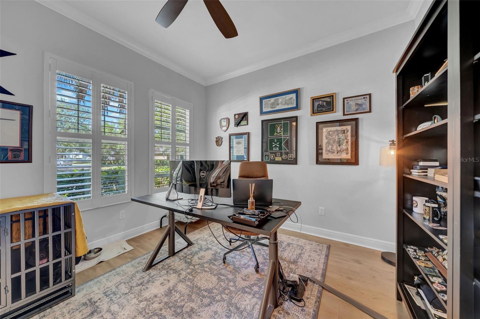15902 OAKLEAF RUN DR, LITHIA, FL, 33547
