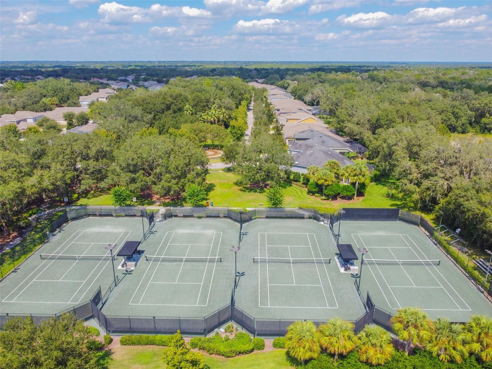 15902 OAKLEAF RUN DR, LITHIA, FL, 33547