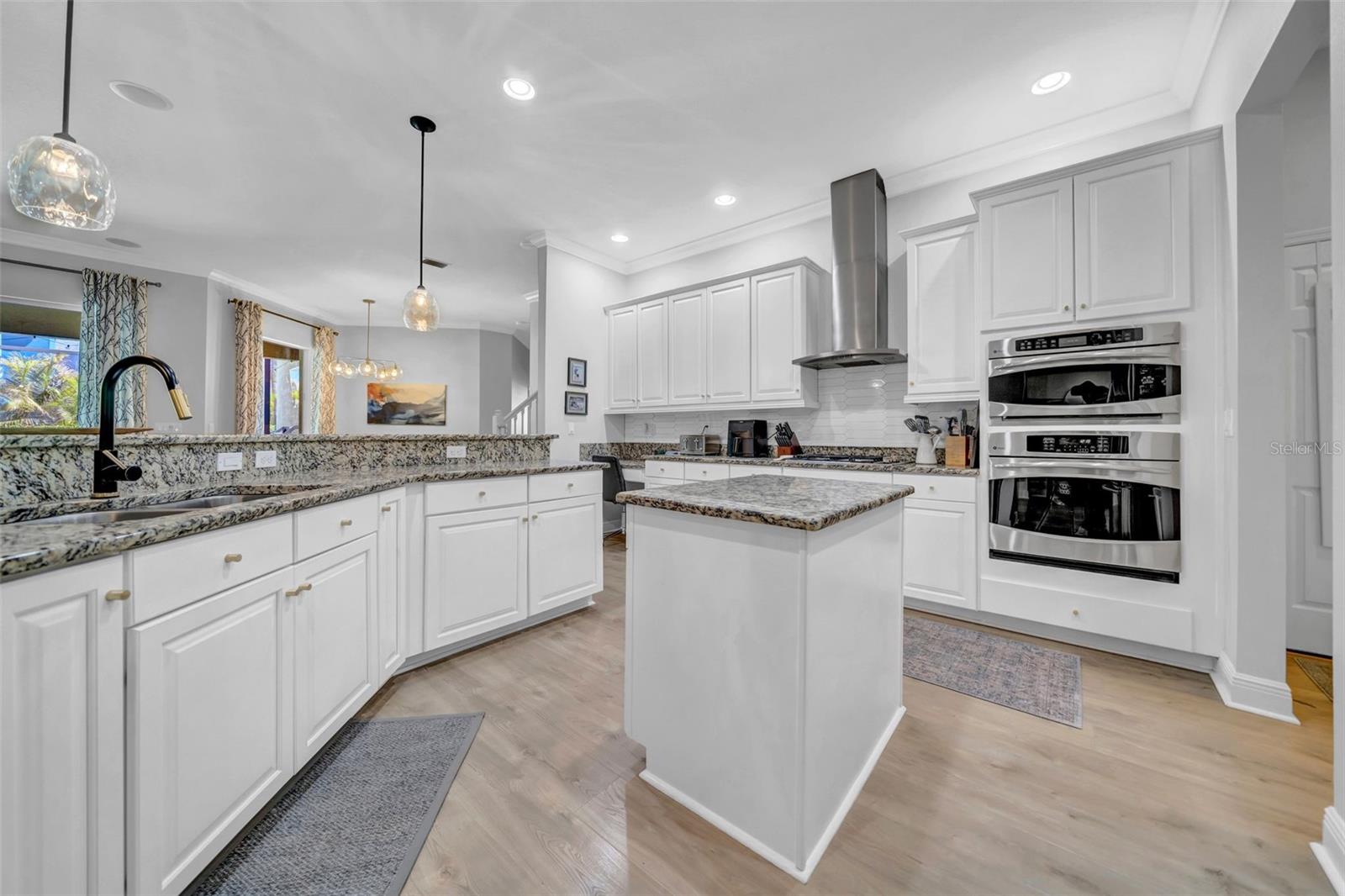 15902 OAKLEAF RUN DR, LITHIA, FL, 33547