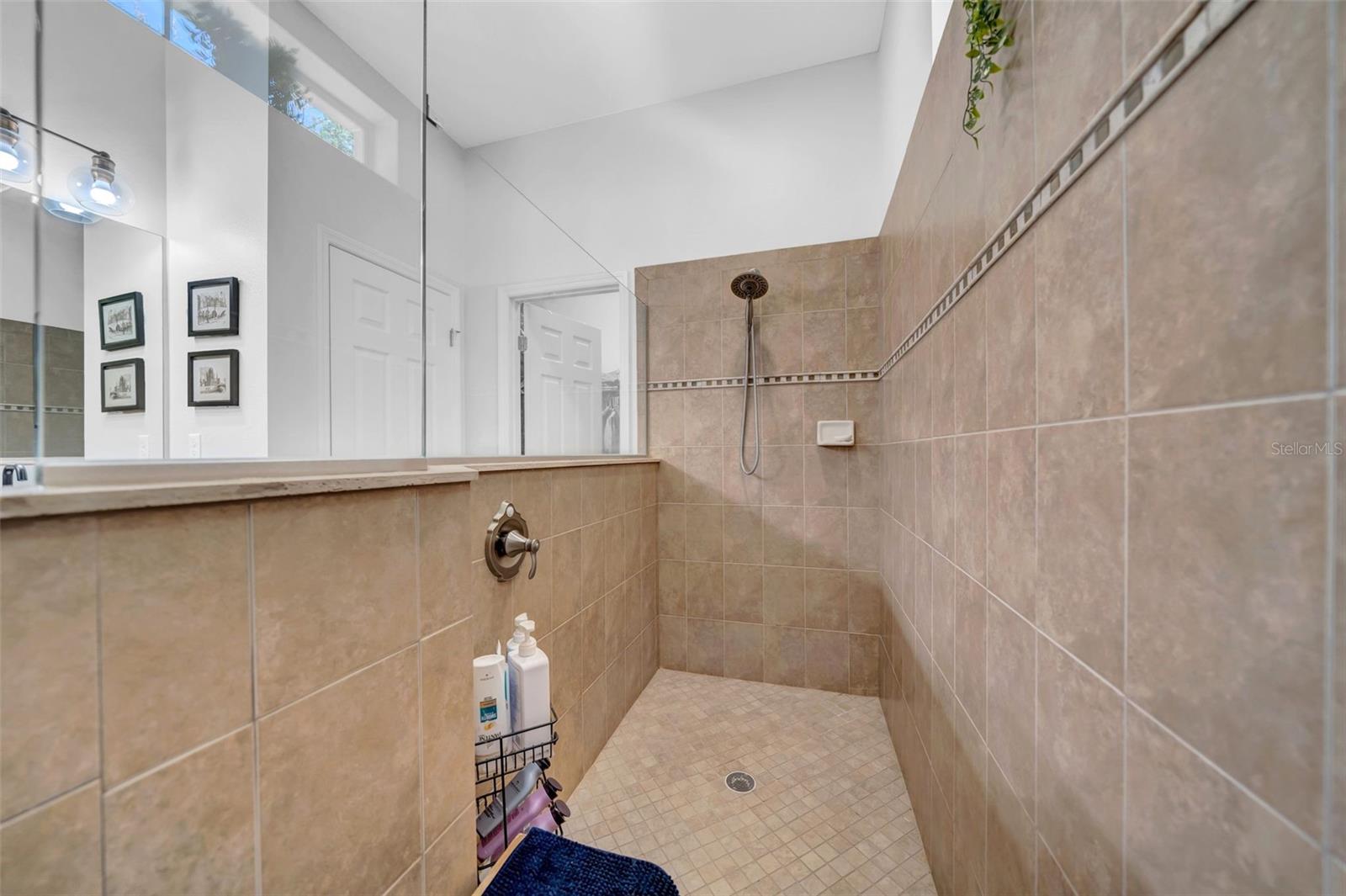 15902 OAKLEAF RUN DR, LITHIA, FL, 33547