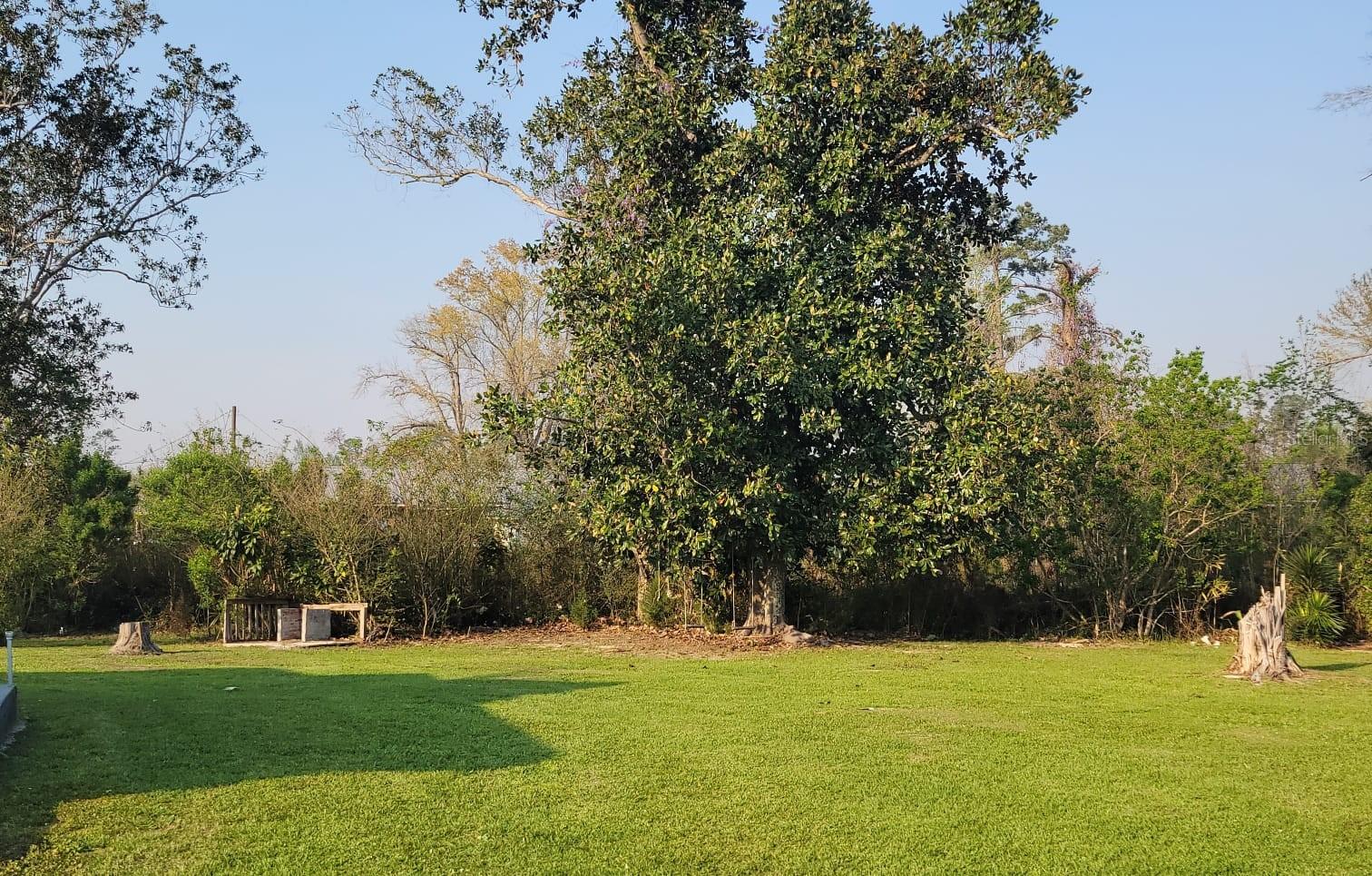 17951 MAIN ST N, BLOUNTSTOWN, FL, 32424