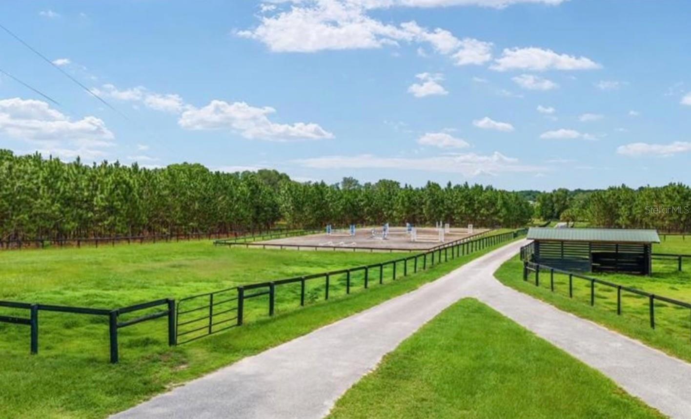 20990 NE HIGHWAY 27, WILLISTON, FL, 32696