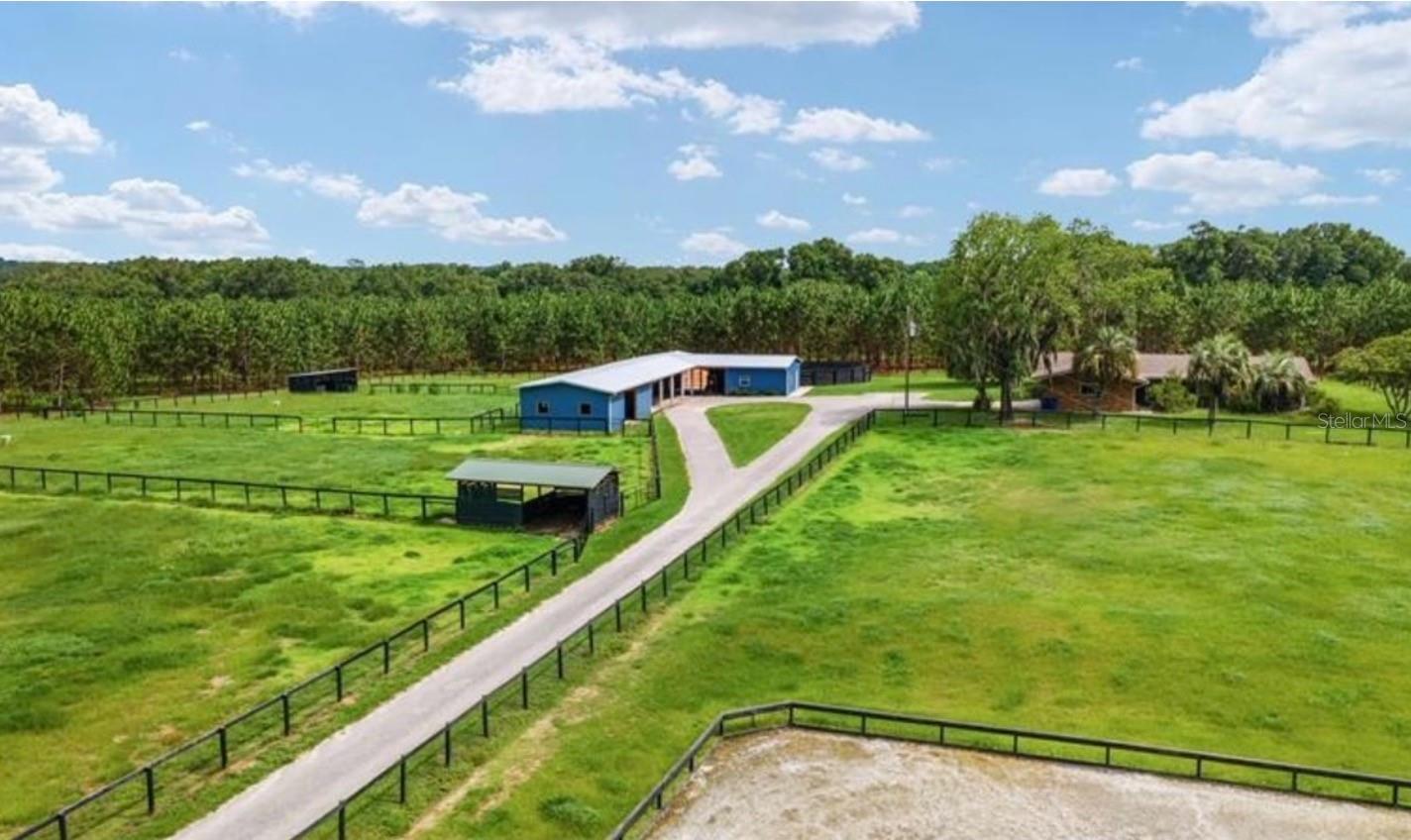 20990 NE HIGHWAY 27, WILLISTON, FL, 32696