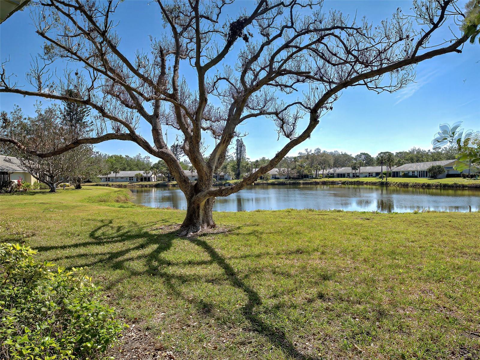 220 SOUTHAMPTON DRIVE #325, VENICE, FL, 34293