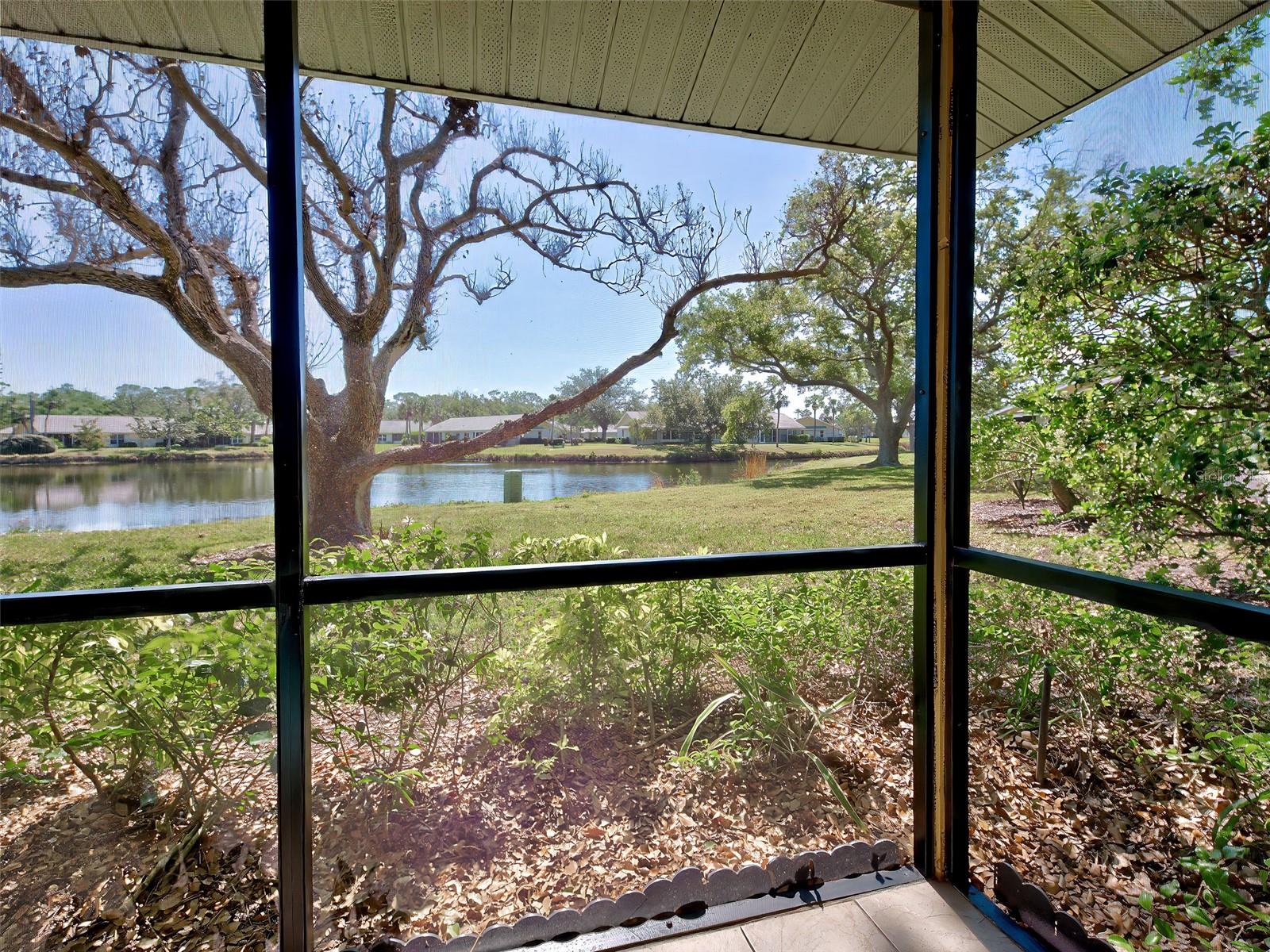 220 SOUTHAMPTON DRIVE #325, VENICE, FL, 34293