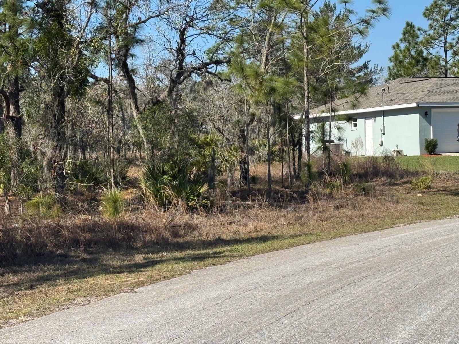 2520 W WINDCHIME LOOP, DUNNELLON, FL, 34434