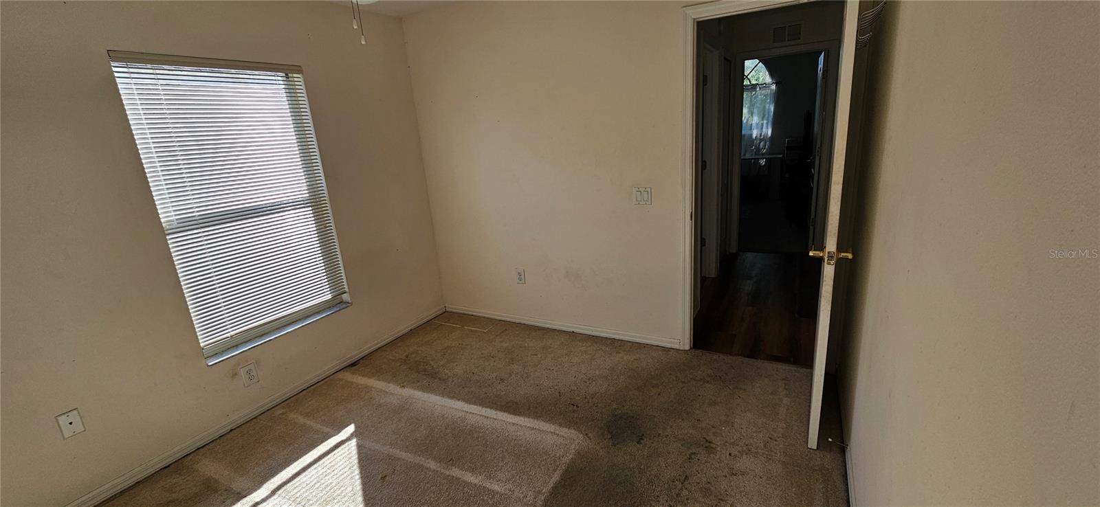 29434 TANSY PASS, WESLEY CHAPEL, FL, 33543
