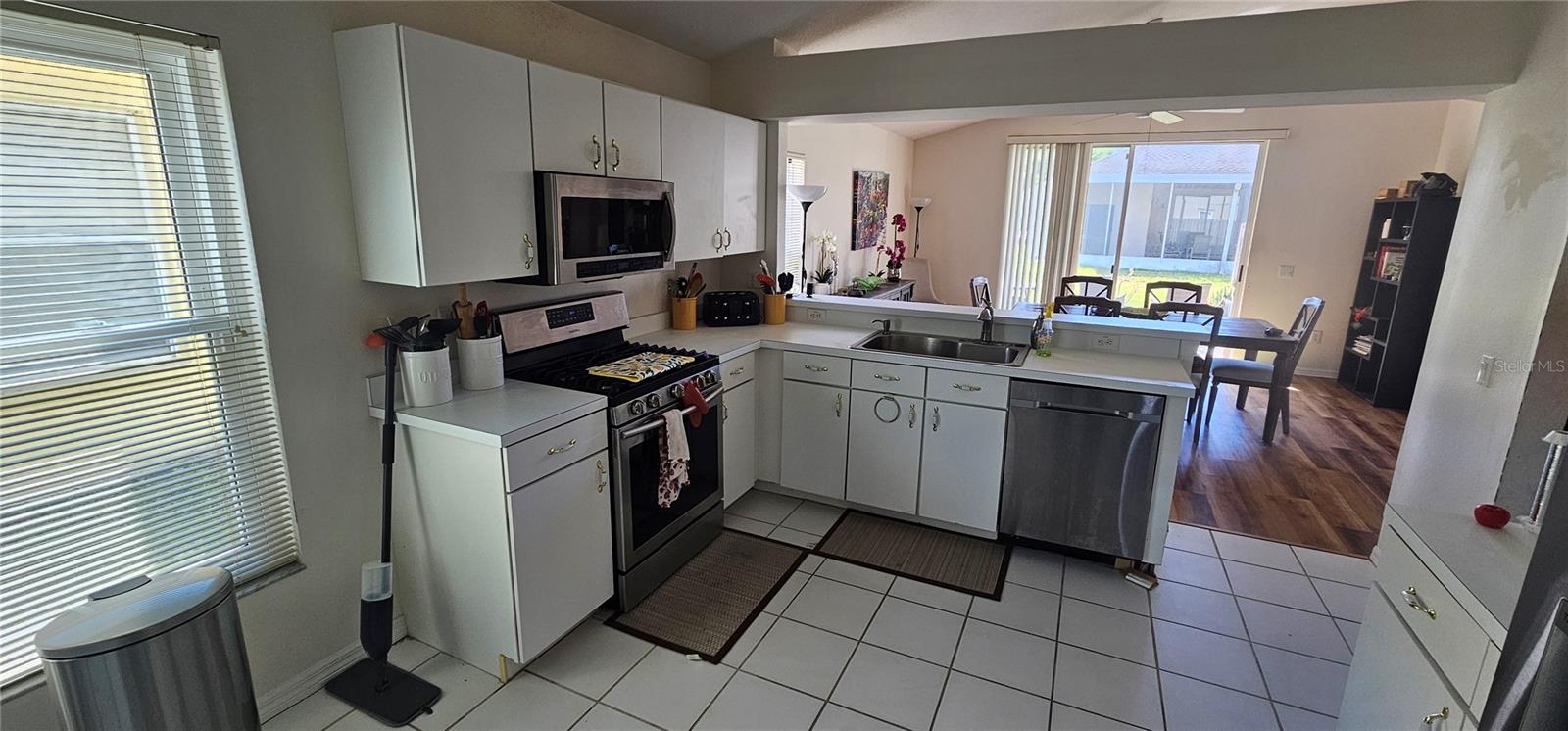 29434 TANSY PASS, WESLEY CHAPEL, FL, 33543