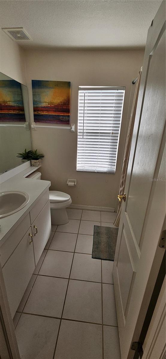 29434 TANSY PASS, WESLEY CHAPEL, FL, 33543