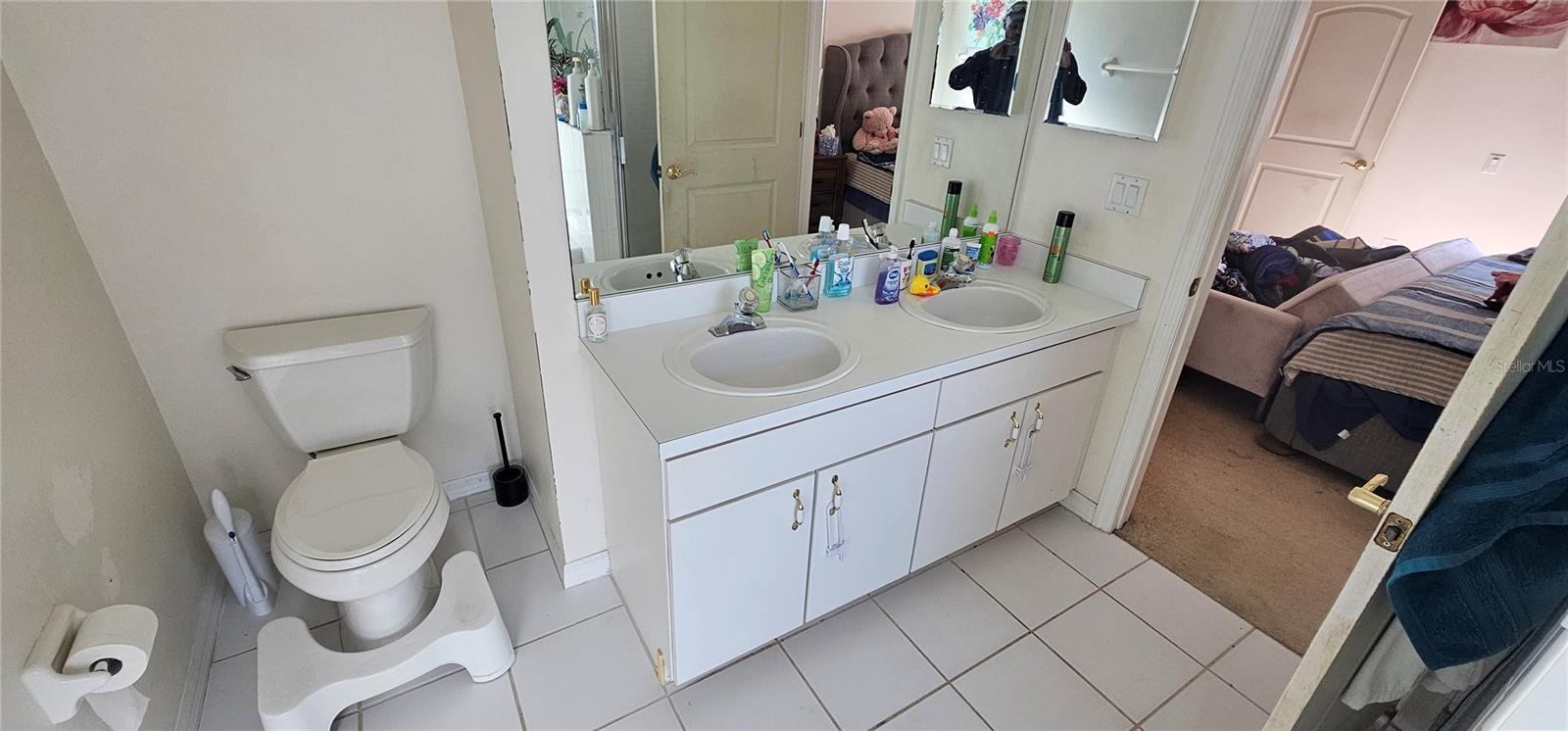 29434 TANSY PASS, WESLEY CHAPEL, FL, 33543