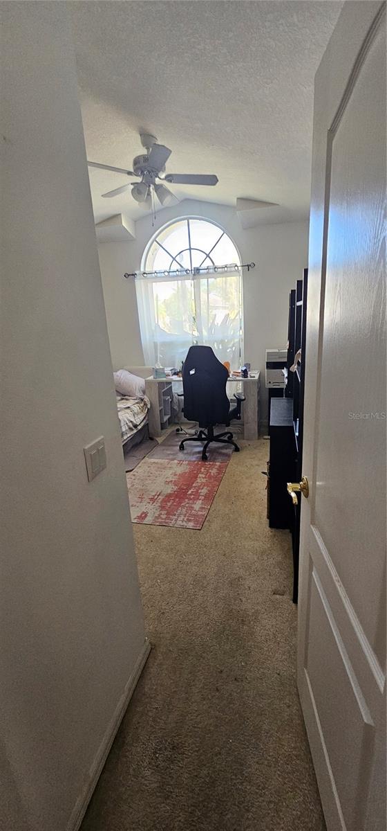 29434 TANSY PASS, WESLEY CHAPEL, FL, 33543