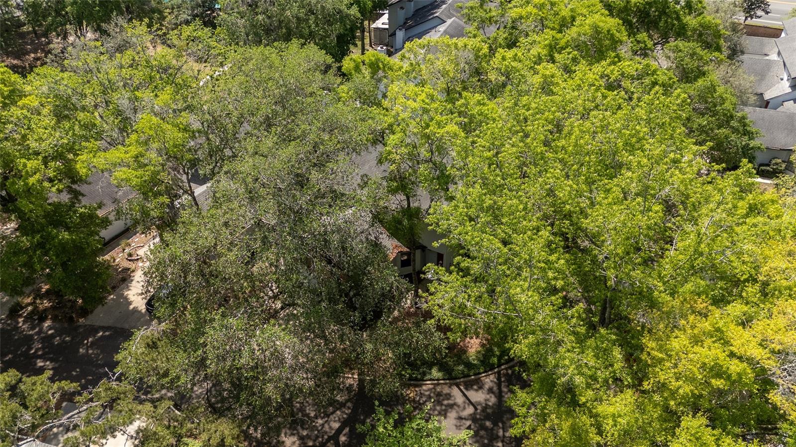 914 NW 42ND TER, GAINESVILLE, FL, 32605