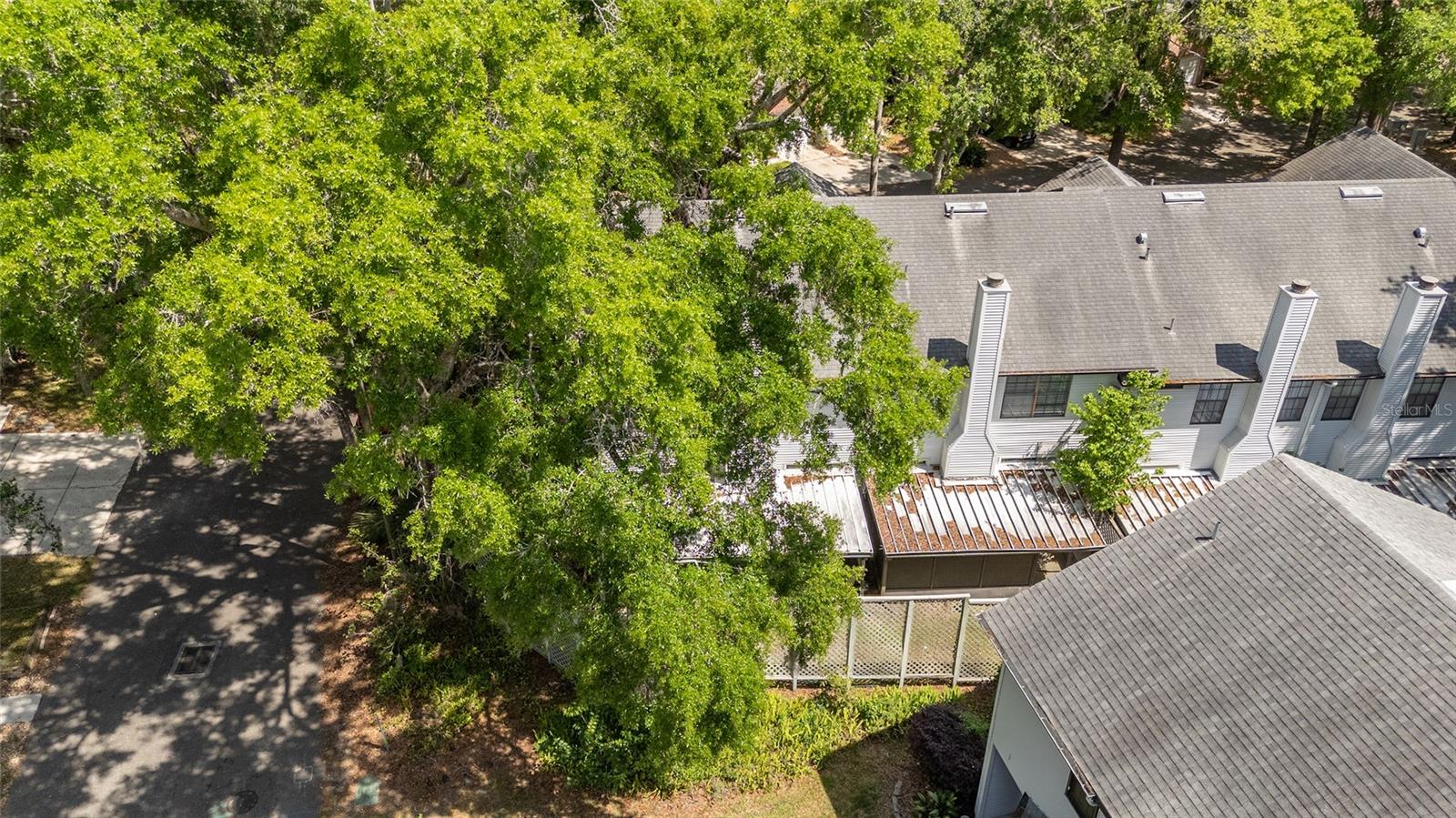 914 NW 42ND TER, GAINESVILLE, FL, 32605