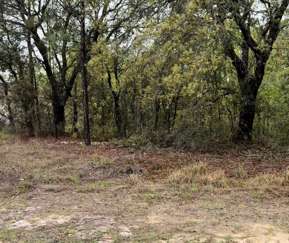 2543 W WILMINGTON LOOP, DUNNELLON, FL, 34434
