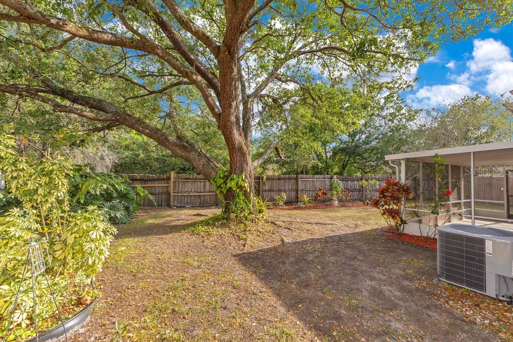 1002 KELSEY AVE, OVIEDO, FL, 32765