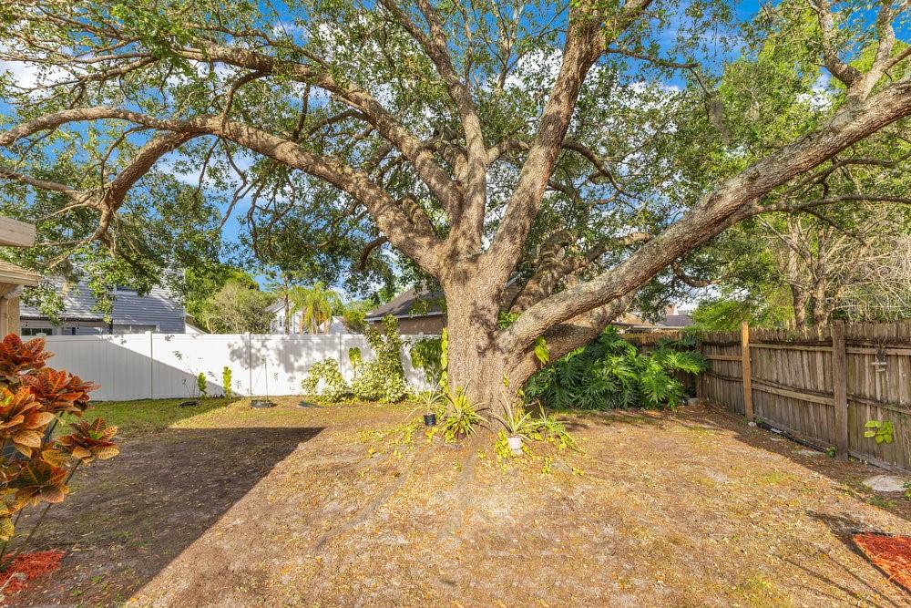 1002 KELSEY AVE, OVIEDO, FL, 32765